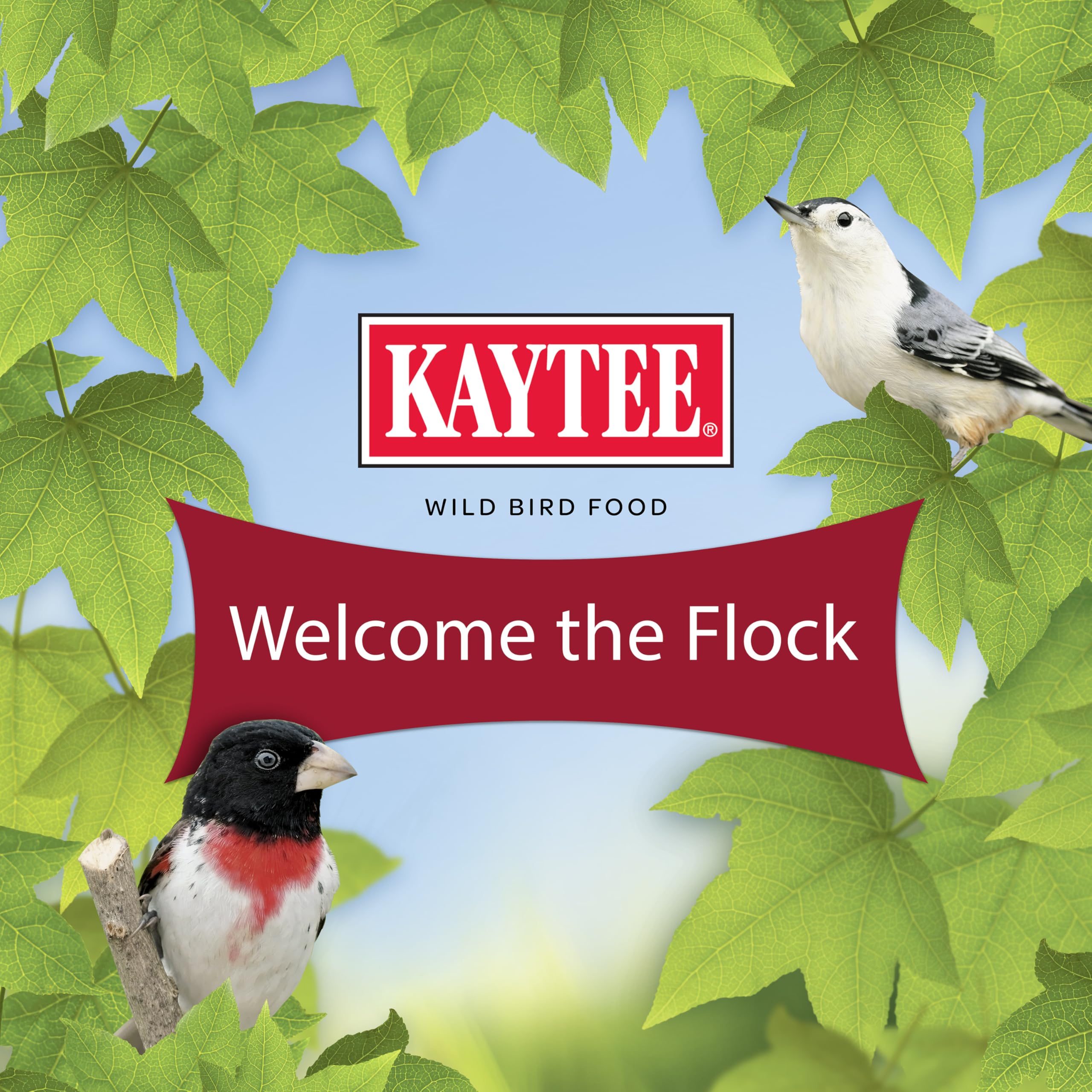 Kaytee Striped Sunflower Wild Bird Food 5 Pounds