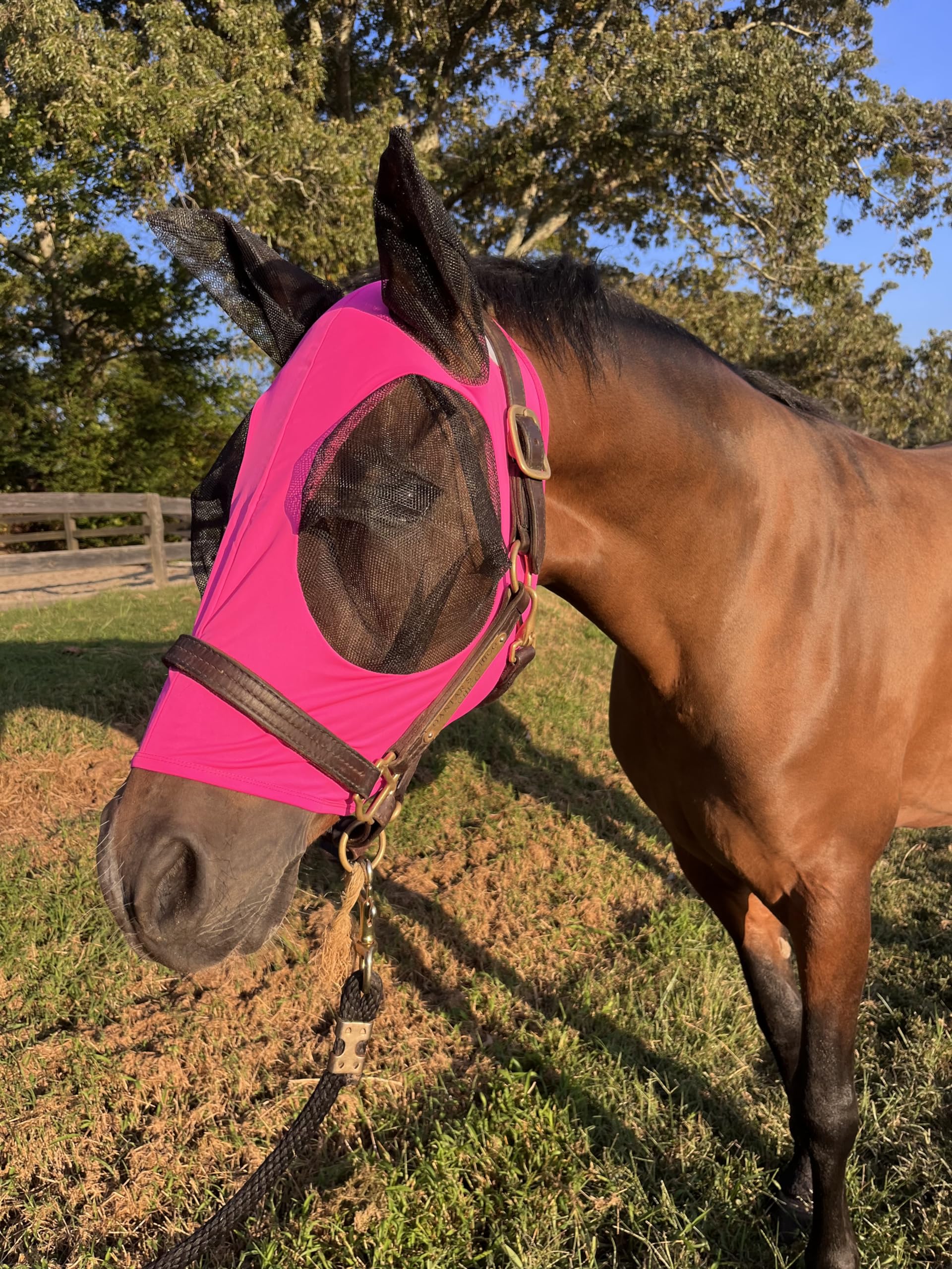 Stretchy Horse Fly Mask with Ears Comfort Fit Mesh Trail Pasture Sun UV Protection (Arab/Cob/Small Quarter, Pink)