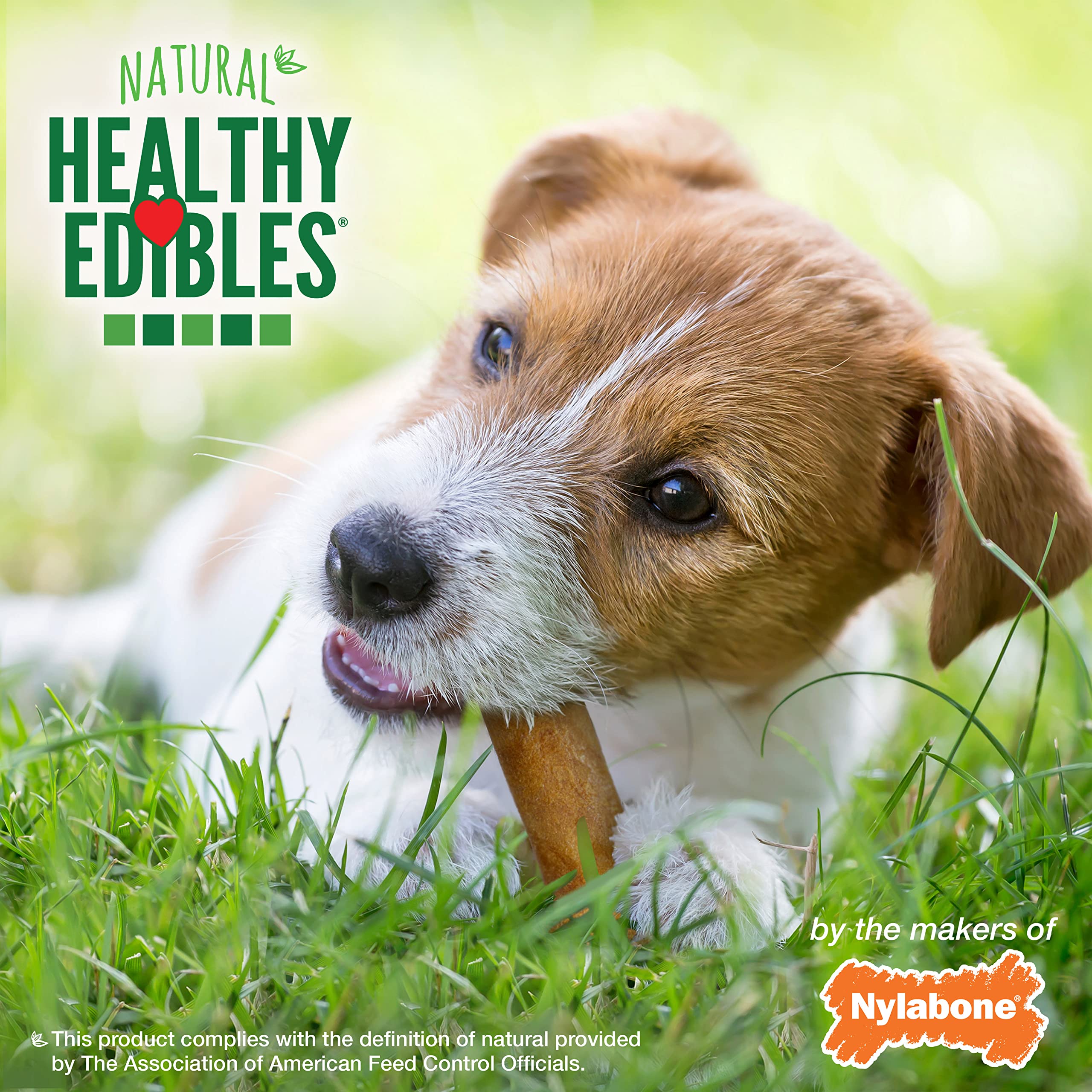 Nylabone Healthy Edibles All-Natural Long Lasting Chicken Flavor Dog Chew Treats 3 count Chicken Small/Regular