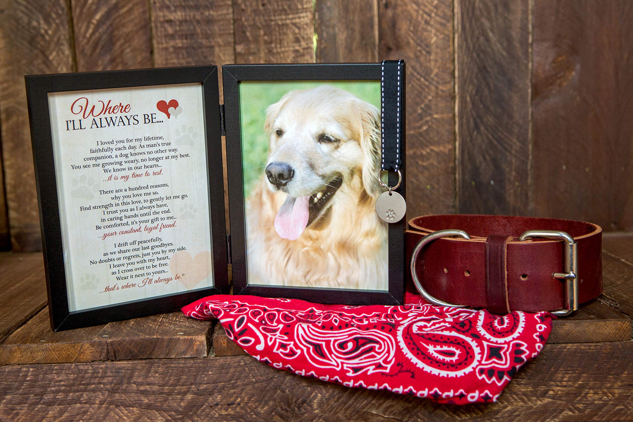 Pawprints Left by You Dog Memorial Photo Frame - Black, Model 6105D, Thoughtful Gift with Pet Tag