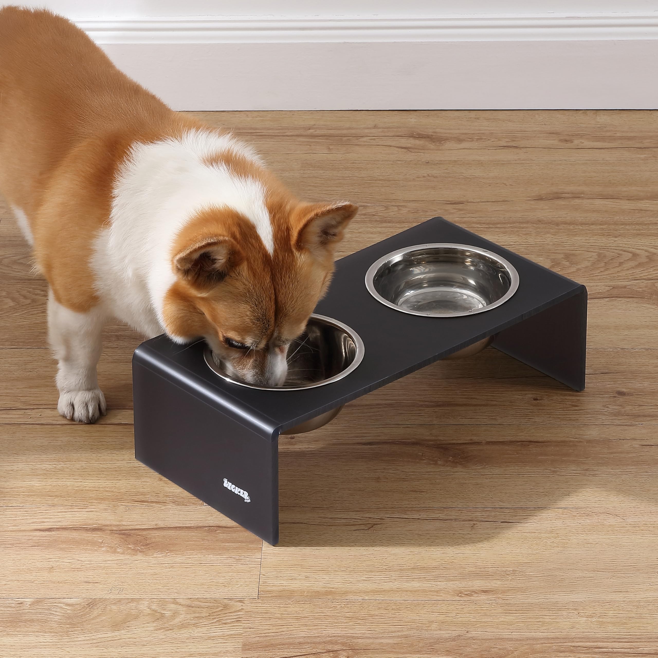 The LICKER Store DBL2000J Keaton 5 Small/Medium Modern Acrylic Rectangular Elevated Pet Feeder with 20oz 2-Stainless Steel Bowls