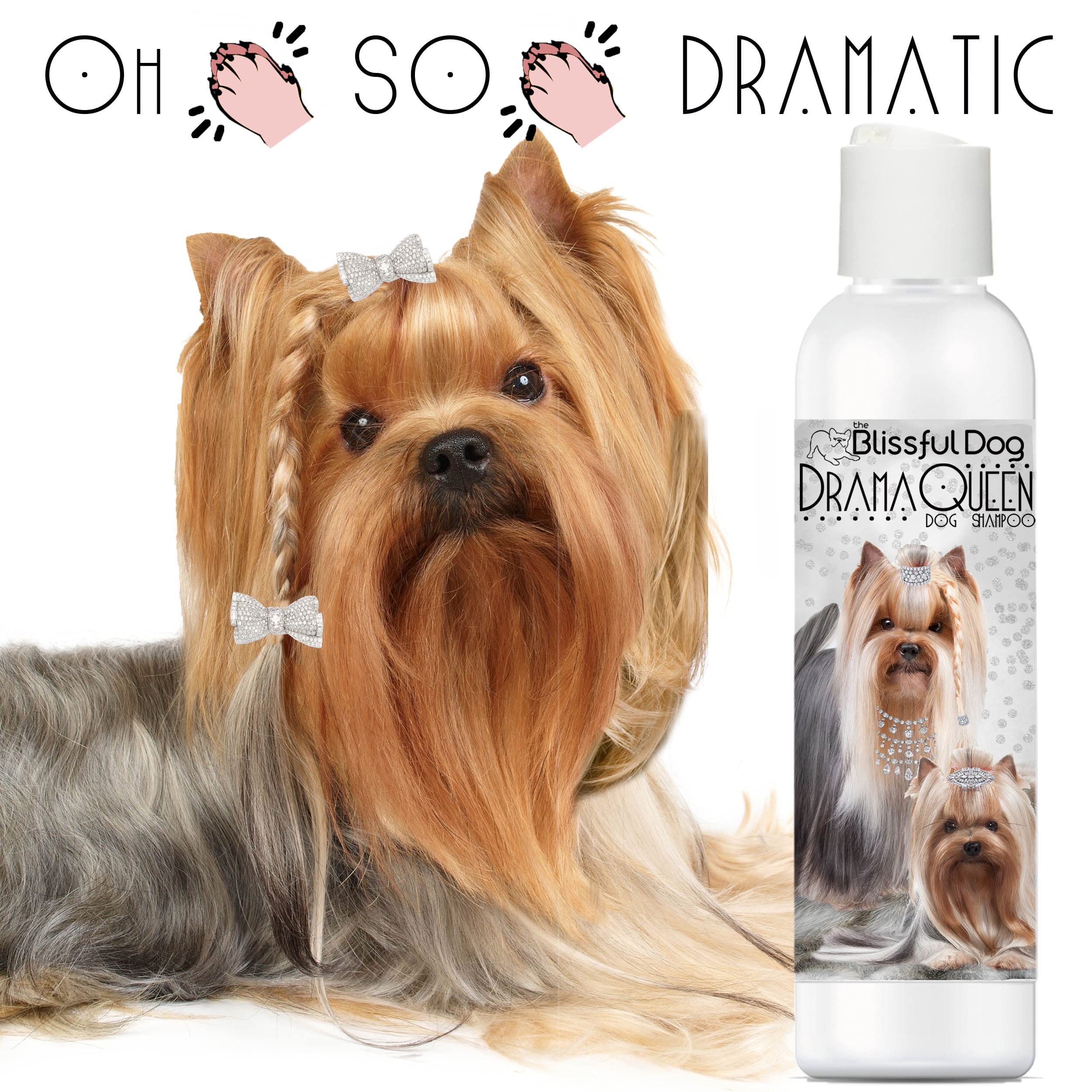 The Blissful Dog Drama Queen Luxury Dog Shampoo, 16 oz - Pink, Nourishing Formula for Soft, Silky Coat, Ideal for Yorkshire Terriers
