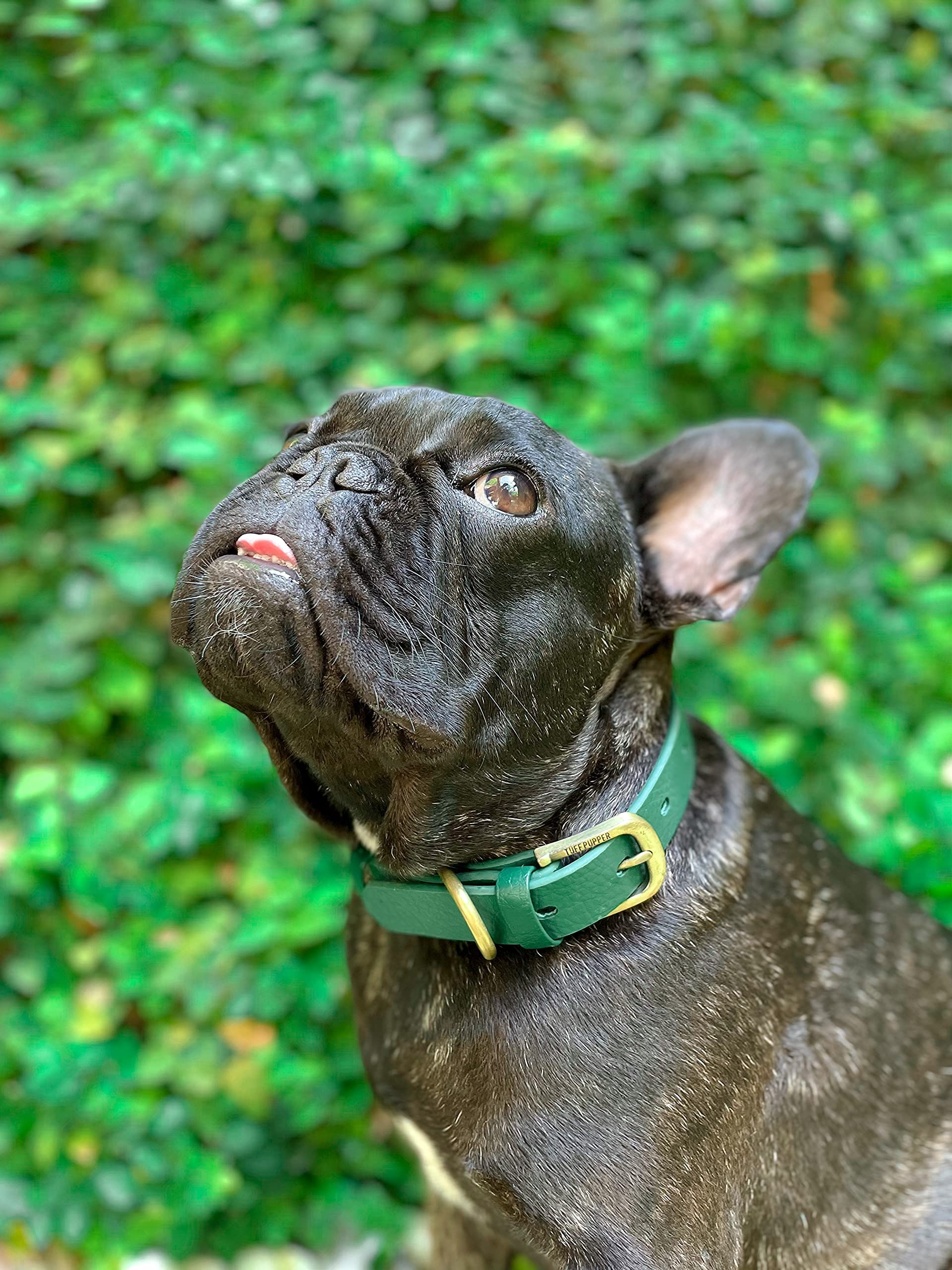 Tuff Pupper Classic Heavy Duty Dog Collar | 10X Stronger Than Leather | 100% Waterproof & Odor Proof Dog Collar | Tough Rust-Proof All Metal Hardware | Lifetime Replacement Guarantee