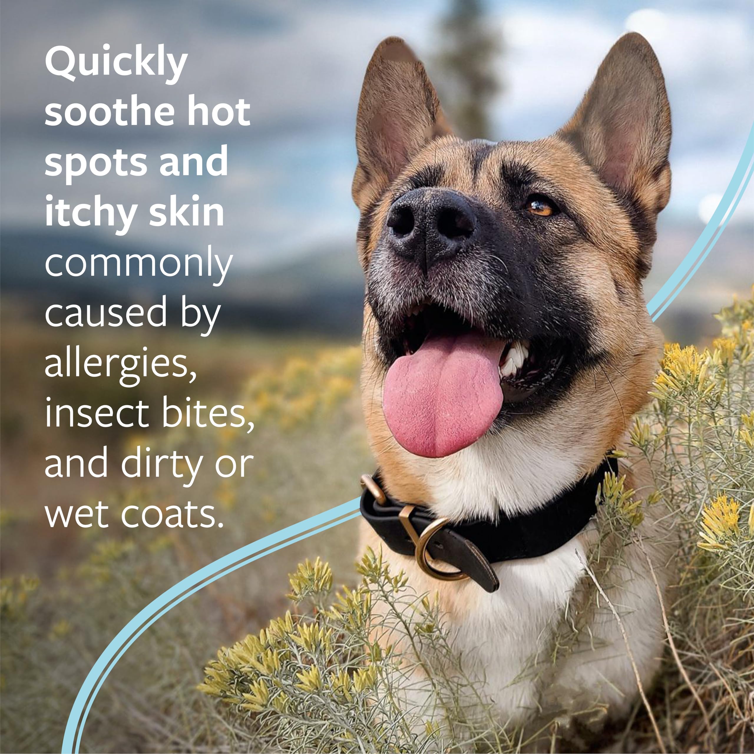 Veterinary Formula Medicated Shampoo for Dogs & Cats - Hot Spot & Itch Relief, 16 Fl Oz (Pack of 2)
