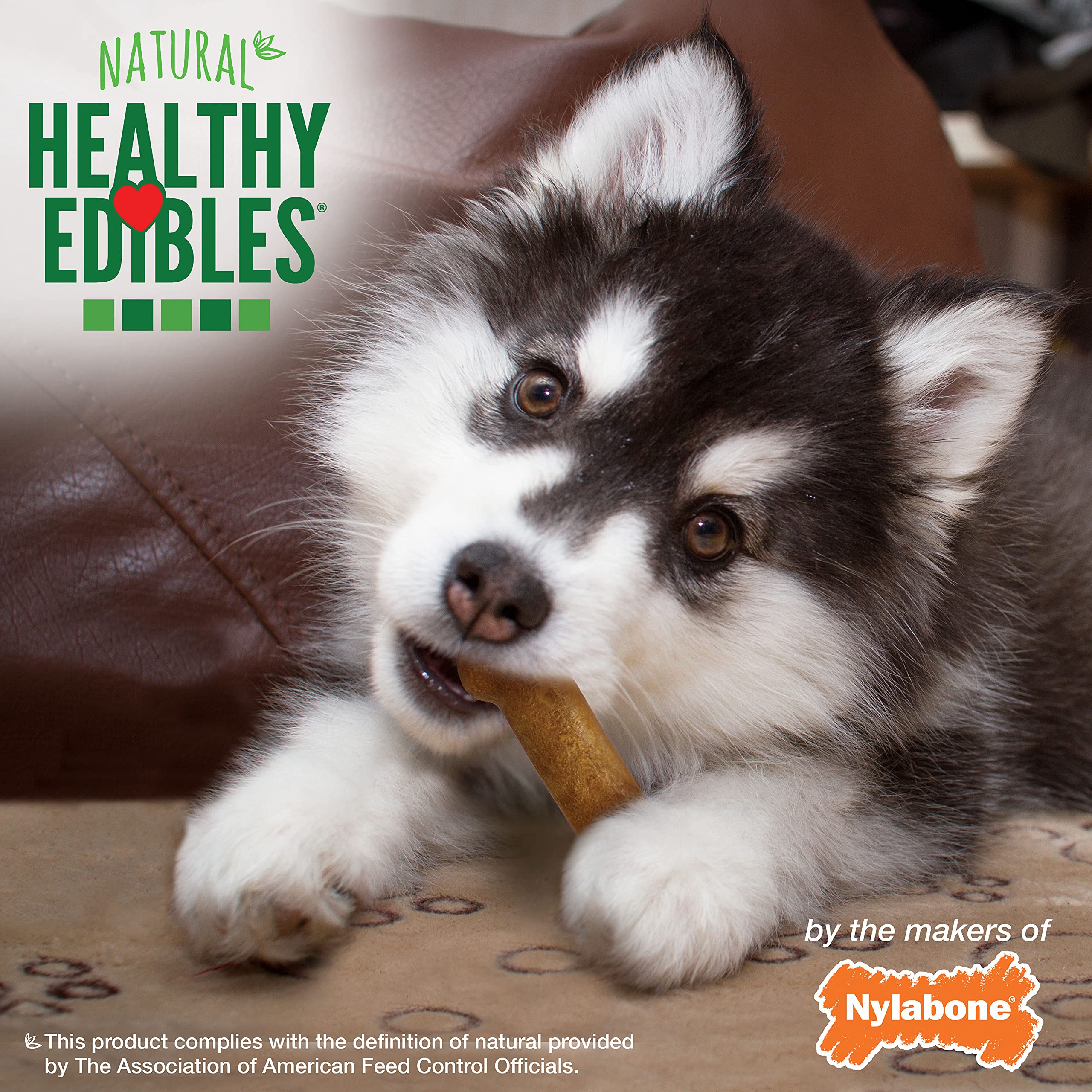 Nylabone Healthy Edibles Natural Puppy Chews Long Lasting Lamb & Apple Flavor Treats for Puppies, X-Small/Petite (4 Count)