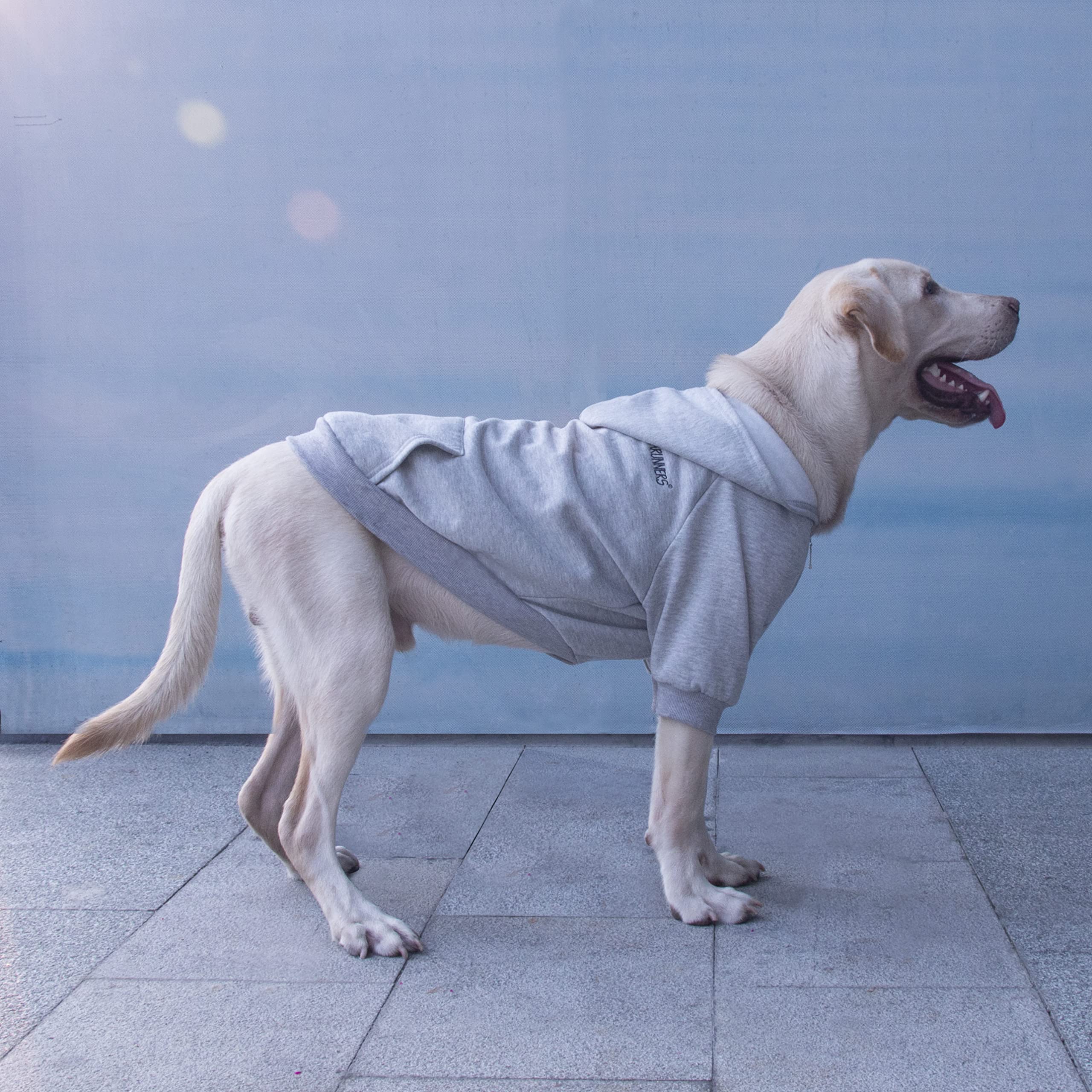 Arunners Extra Large Dog Clothes Hoodies Zip Up Sweaters For Big Dogs Alaskan Caucasian Sheepdog Grey 7Xl