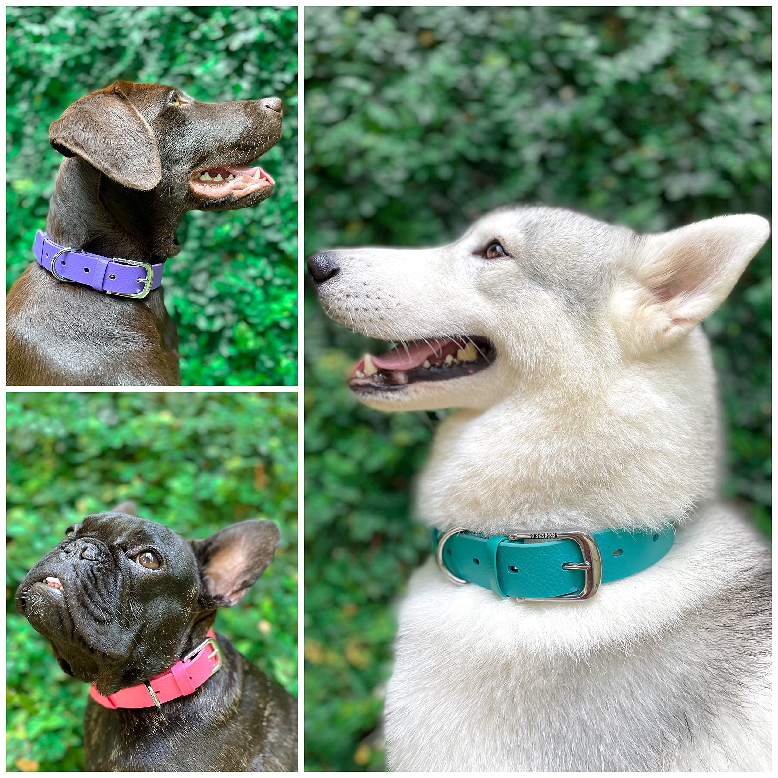 Tuff Pupper Heavy Duty Dog Collar - Waterproof, Odor Proof, Large (19-23") - Tropical Teal, 10x Stronger Than Leather, Rust-Proof Hardware