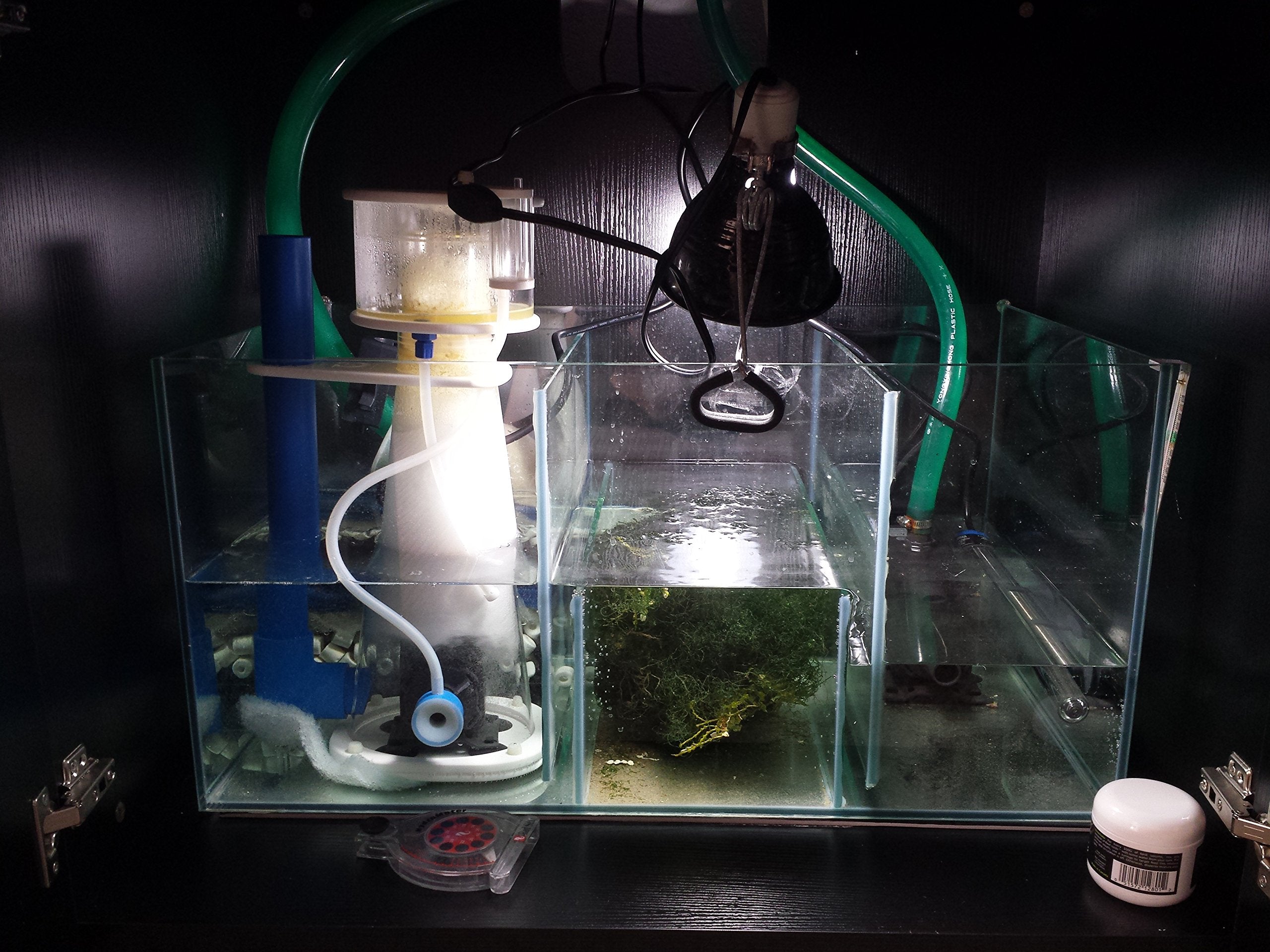 Sca 66 Gallon Starfire Rimless Aquariums Pnp System 32X24X20 10Mm With Built-In Overflow