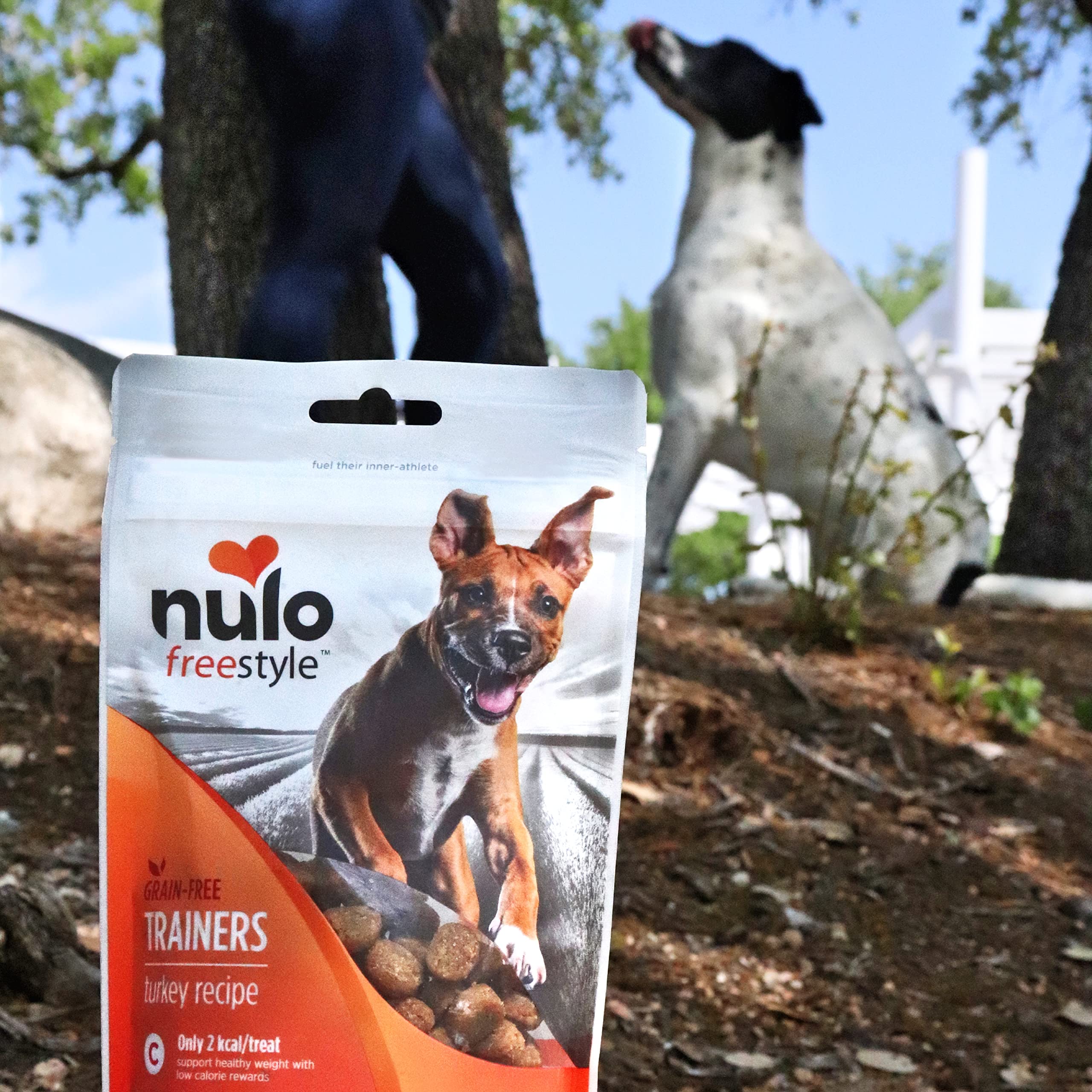 Nulo Turkey Flavor Healthy Dog and Puppy Training Treats, 16 Ounce Pouch