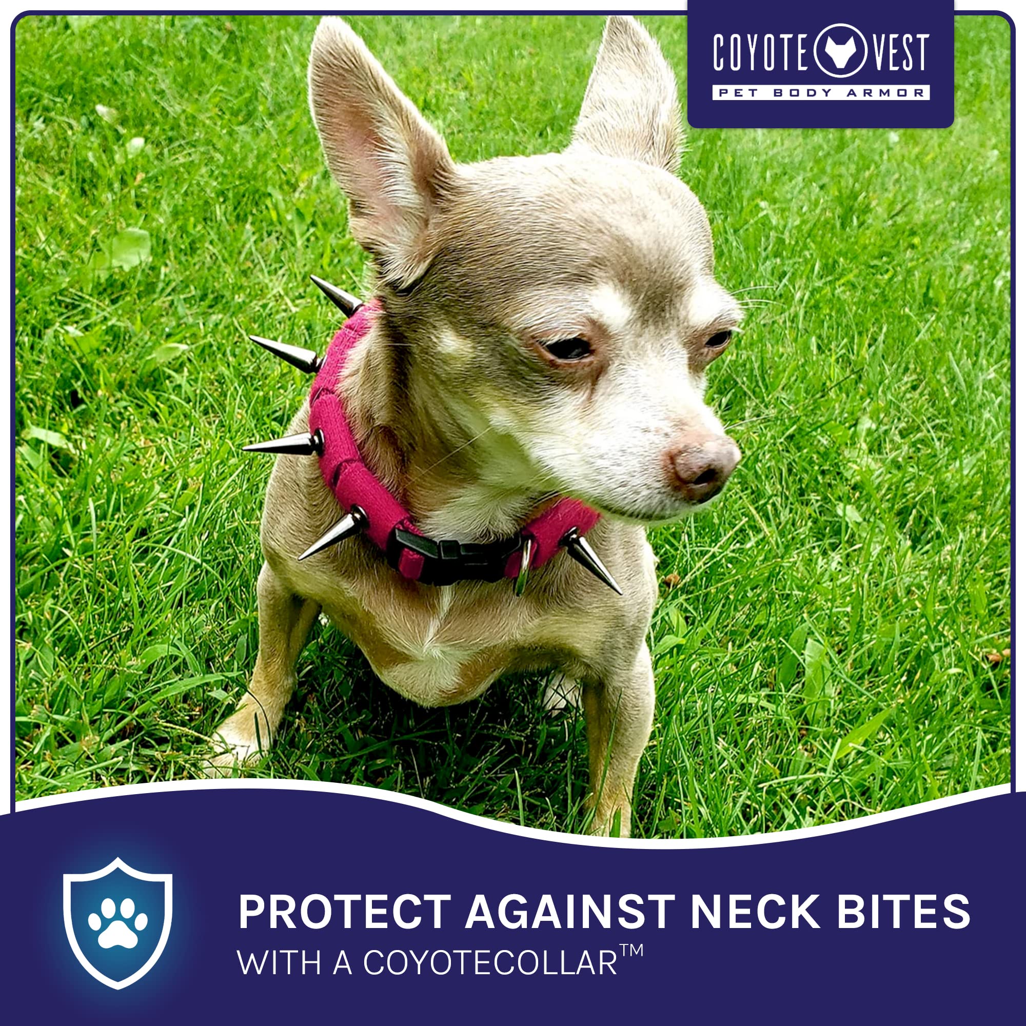 CoyoteVest Spiked Dog Collar - Adjustable Small Pink Nylon Collar for Dogs, Model CV-105-S-PK