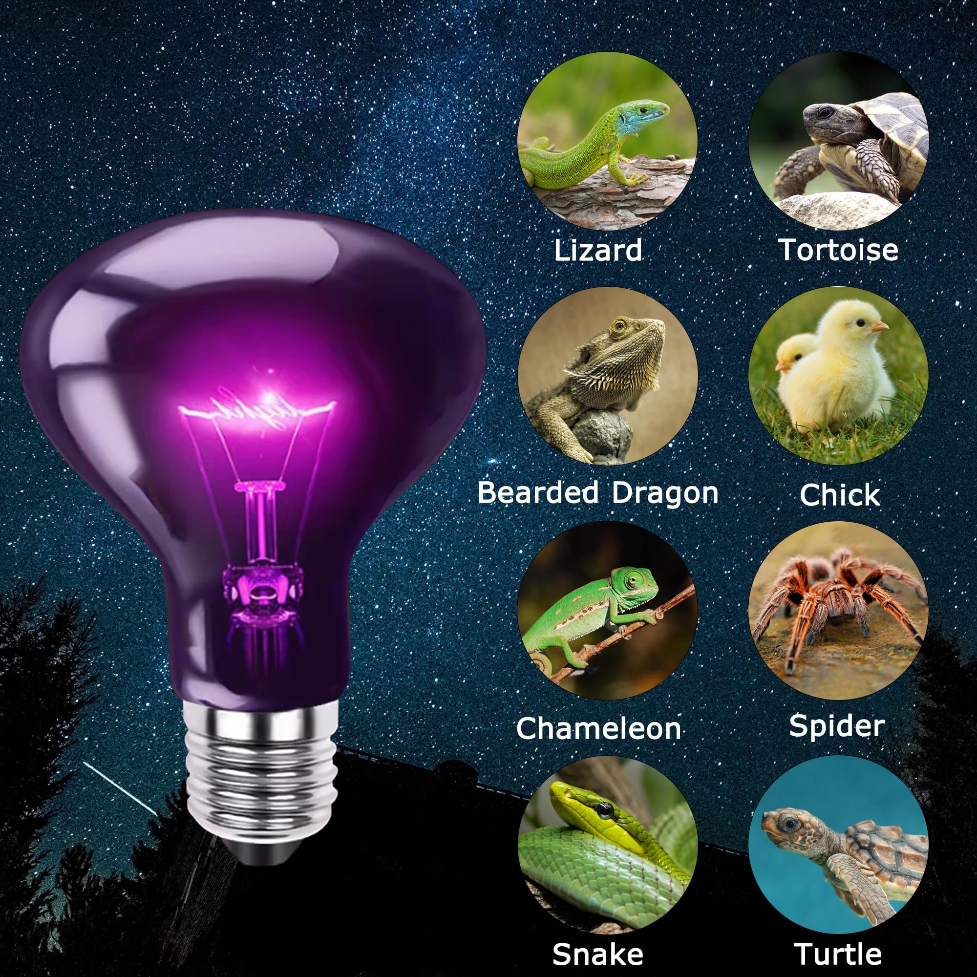 Hartompet 75W Reptile Night Light Bulb - Moonlight Night Heat Lamp - Simulates Natural Moonlight, Purple Basking Spot Light For