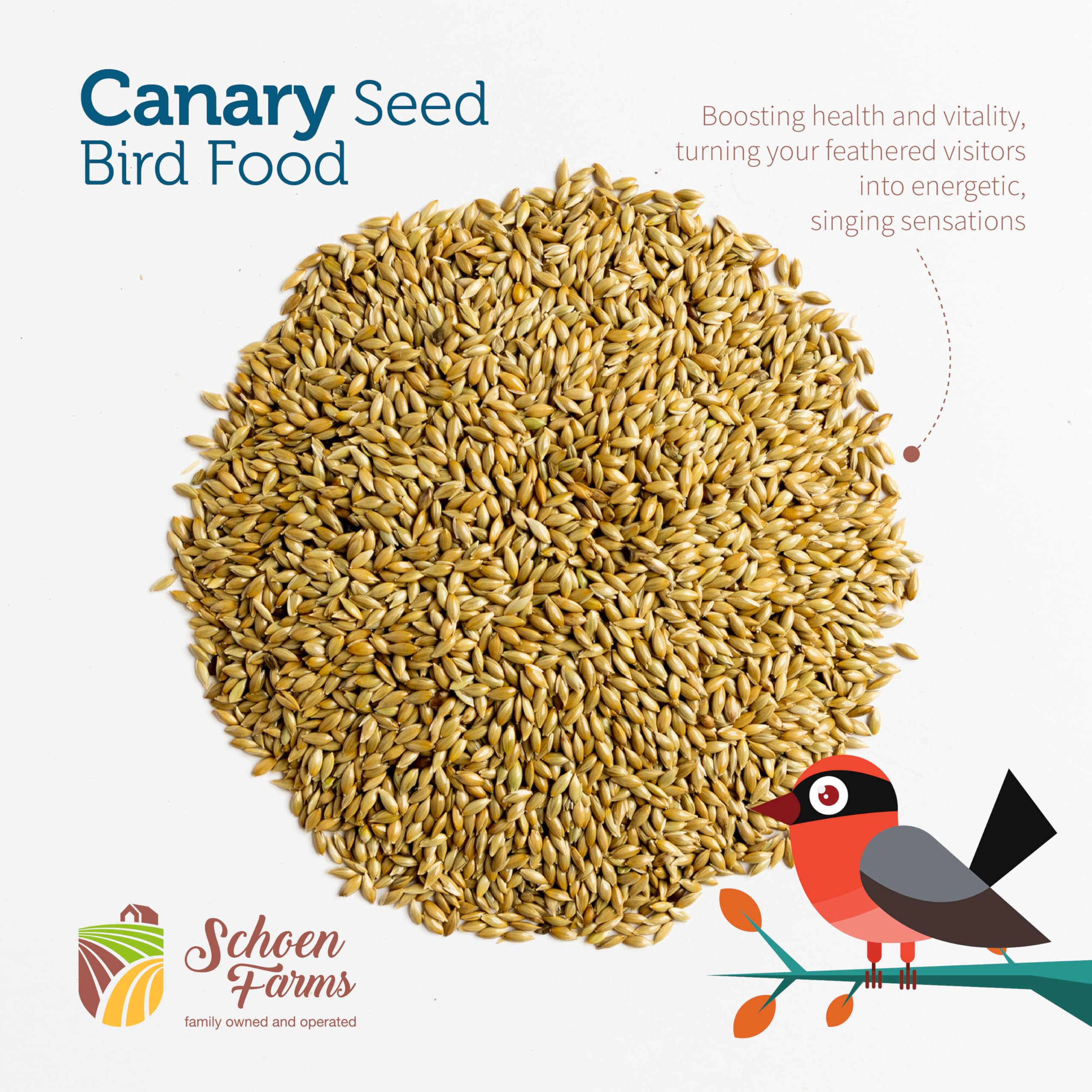 Schoen Farms Premium Canary Seed for Birds (5 LBS)