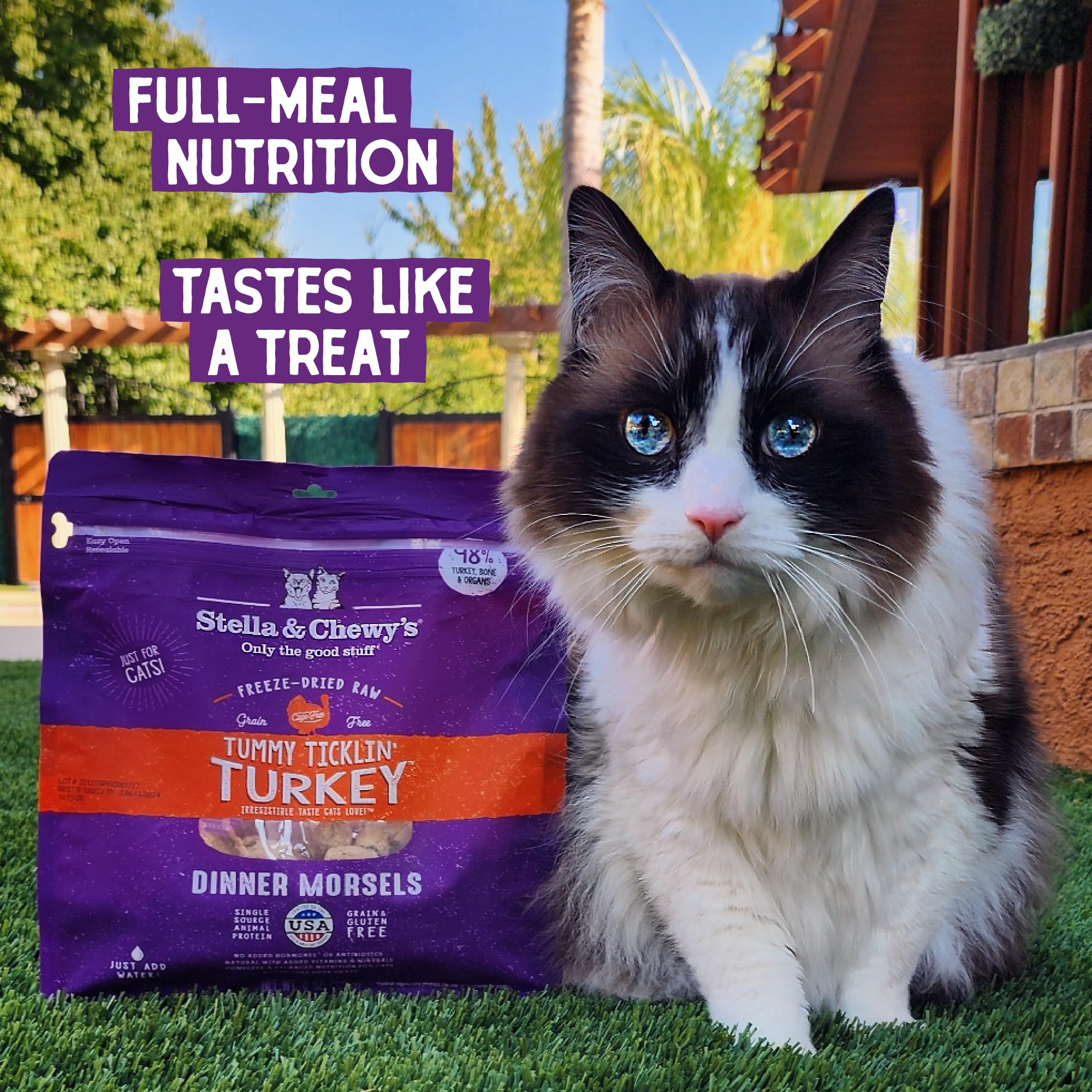 Stella & Chewys Freeze-Dried Raw Cat Dinner Morsels - Grain Free, Protein Rich Cat & Kitten Food - Tummy Ticklin Turkey Recipe -