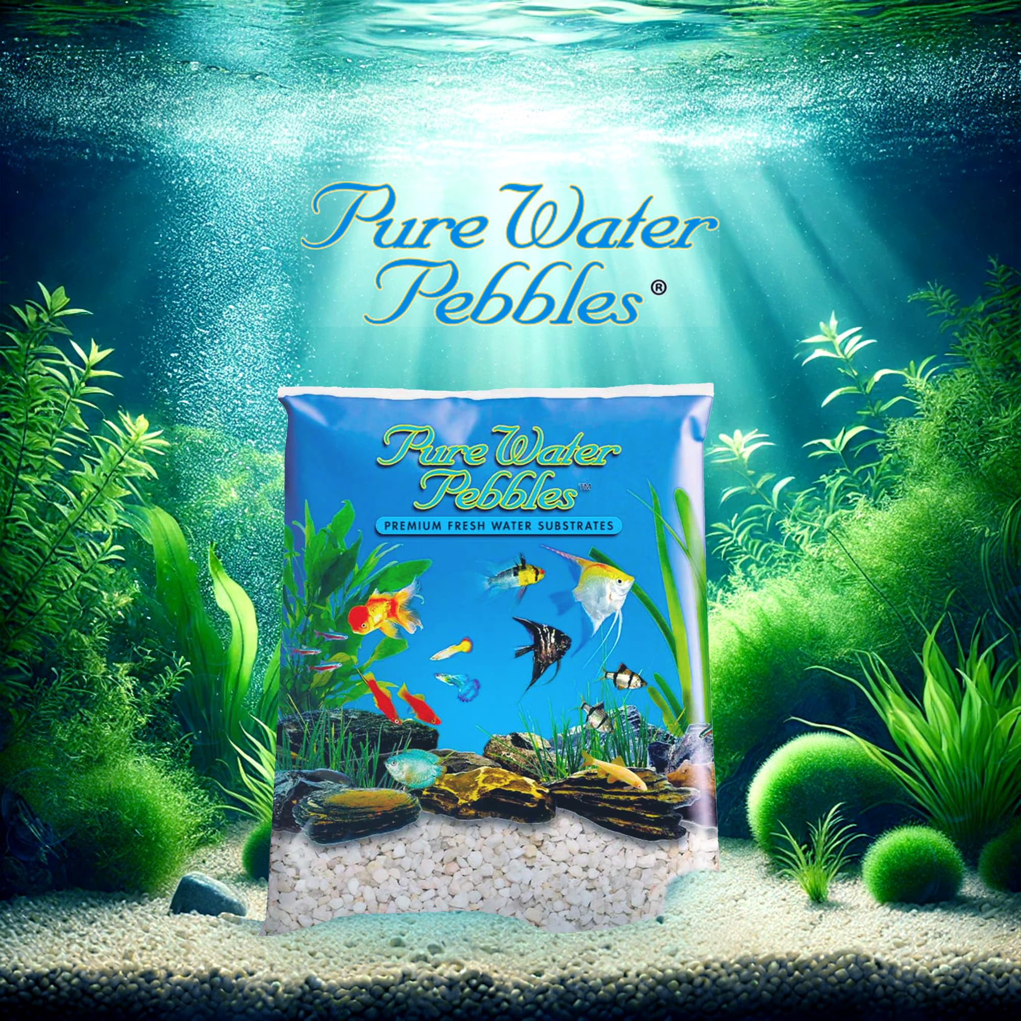 Pure Water Pebbles Carolina Aquarium Gravel, 2 Lbs - Premium Fish Tank Gravel, Decorative Aquarium Rocks For Aquarium Décor, Ideal Fish Tank Accessories