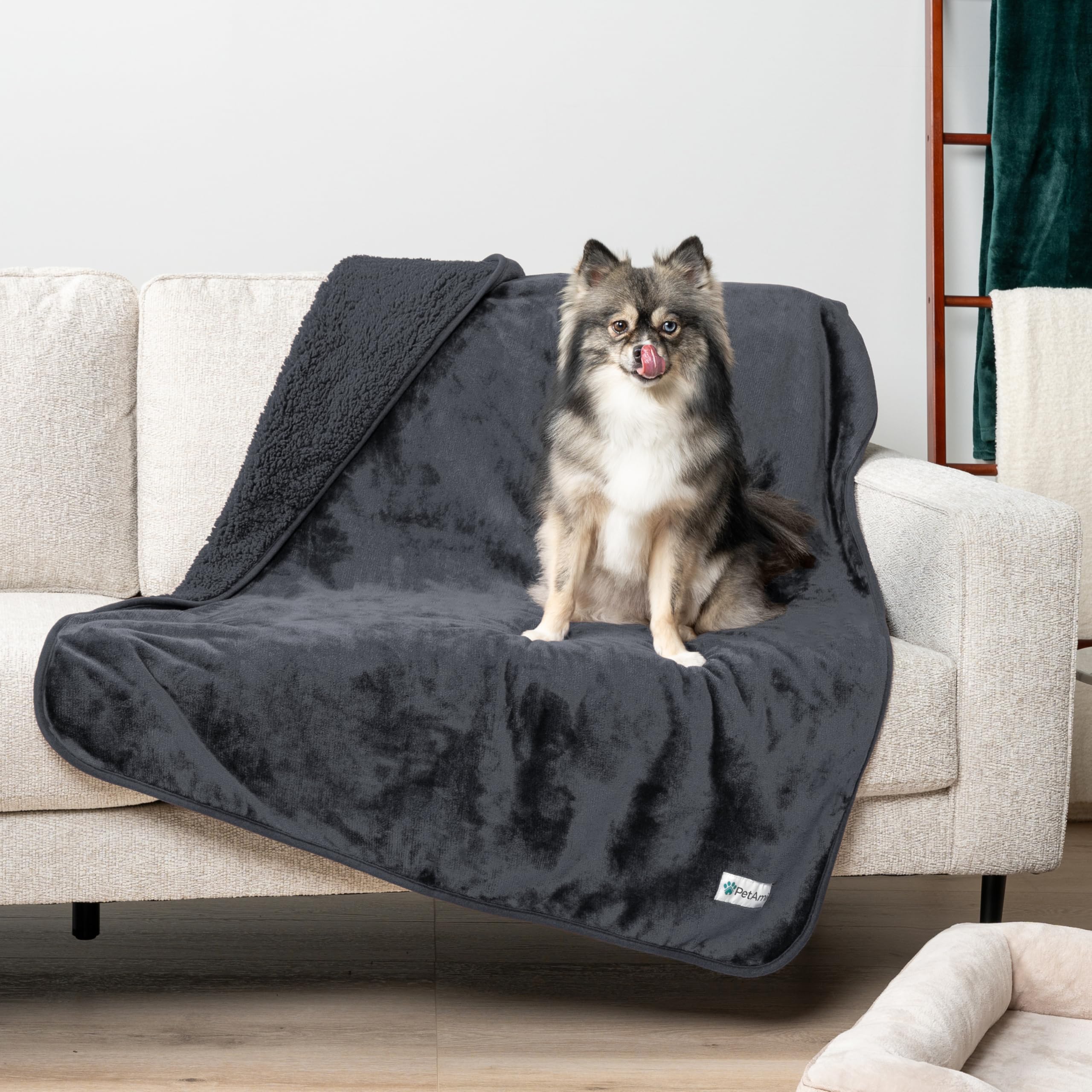Petami Waterproof Dog Blanket For Medium Large Dogs, Pee Proof Pet Blanket For Bed Couch, Reversible Water Proof Blanket For Puppy Indoor Cat, Soft Dog Pee Crate Cover Washable, 60X80 Gray