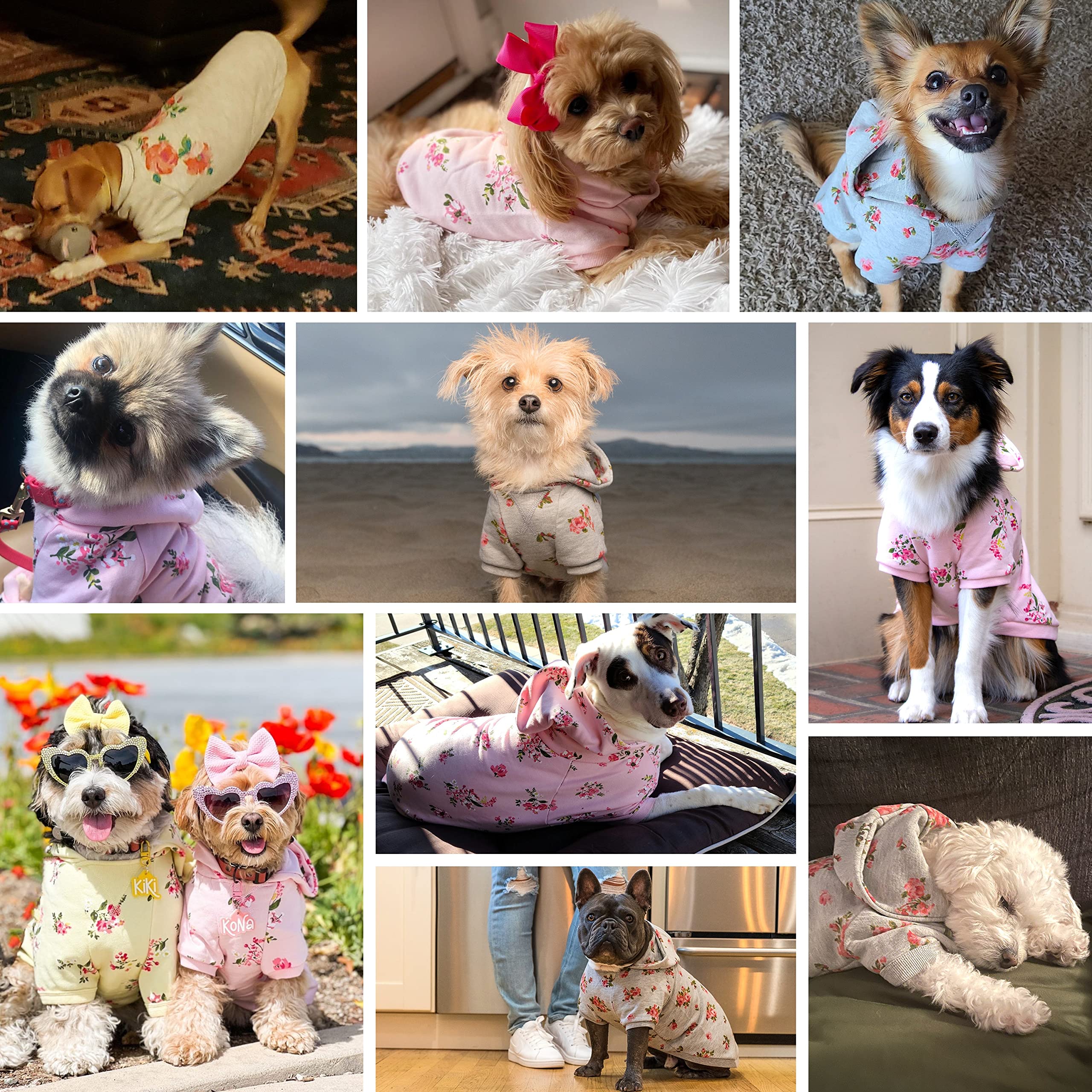 Blueberry Pet Love at First Sight Rose Flower Pullover Dog Sweatshirt in Grey, Back Length 14, Pack of 1 Clothes for Dogs