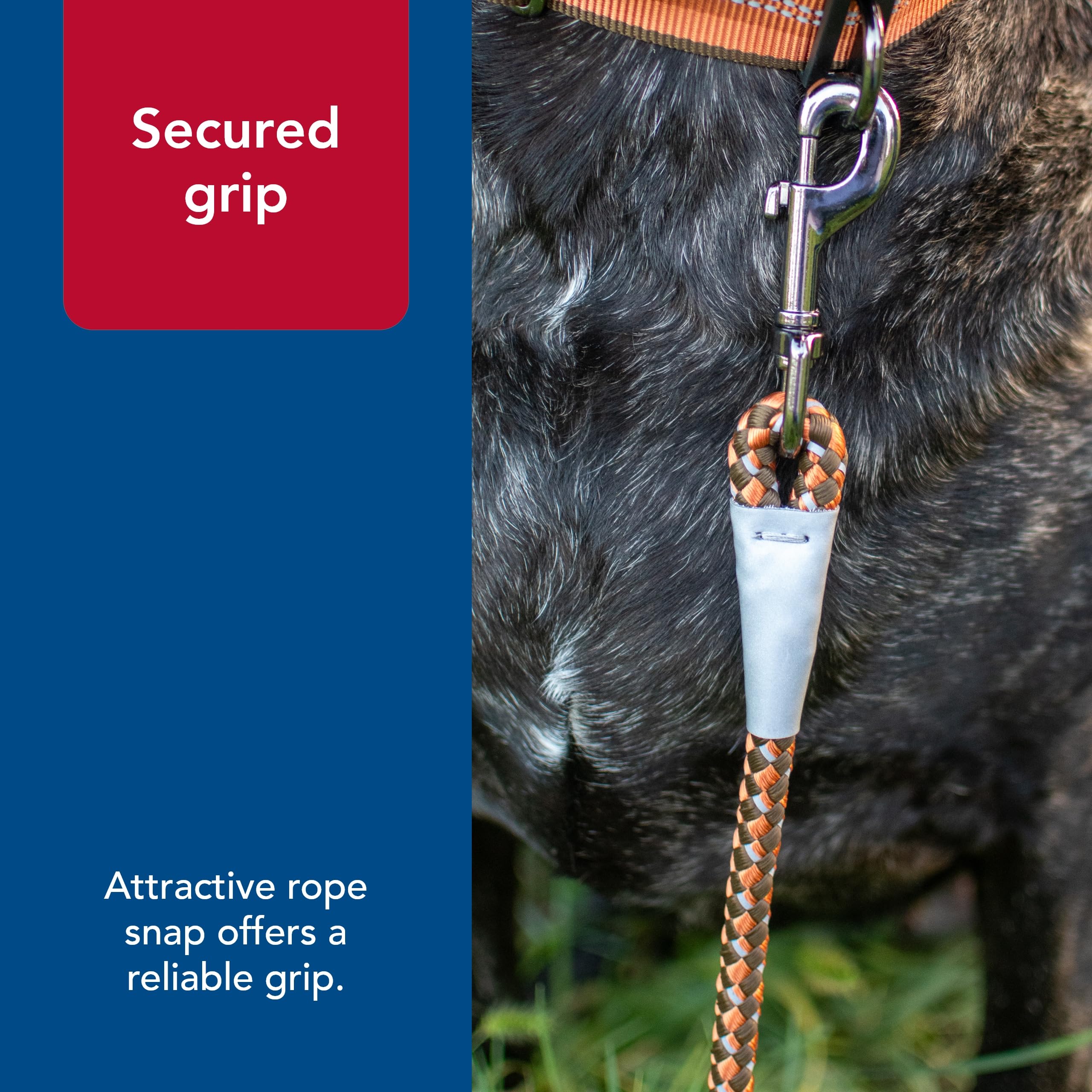 Coastal Pet K9 Explorer Reflective Braided Rope Snap Dog Leash - Heavy-Duty Leash - Comfortable & Secure Grip - Reflective Cord