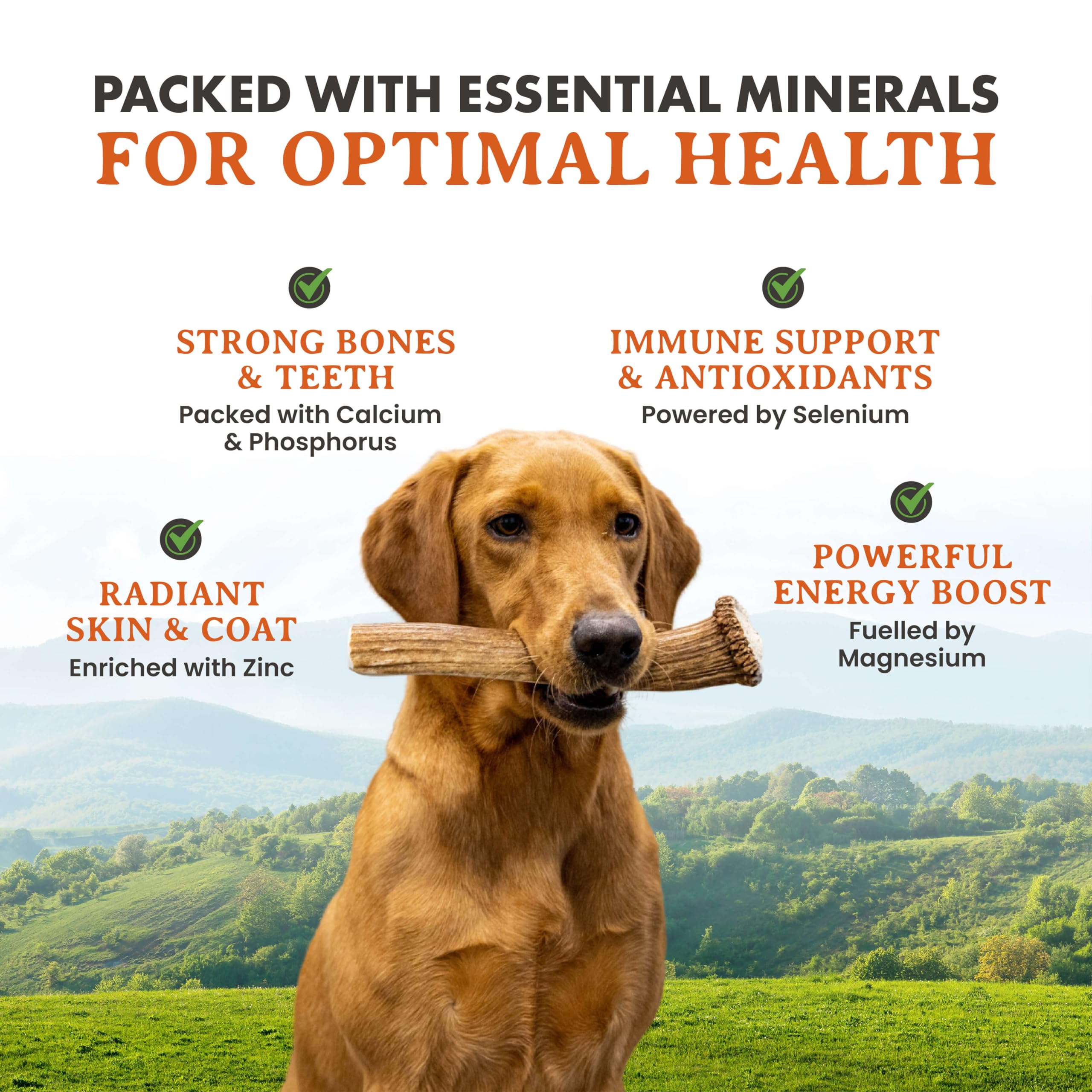 Alpha Dog Nutrition Elk Antler Chews (1 Count (Pack Of 2), Small Split)