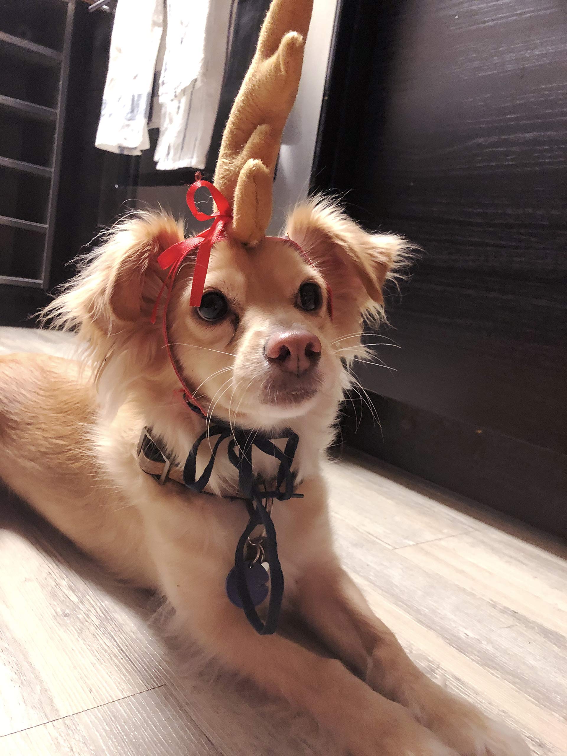 ComfyCamper Reindeer Antler Dog Costume - Brown Polyester Headband for Small to X-Large Pets