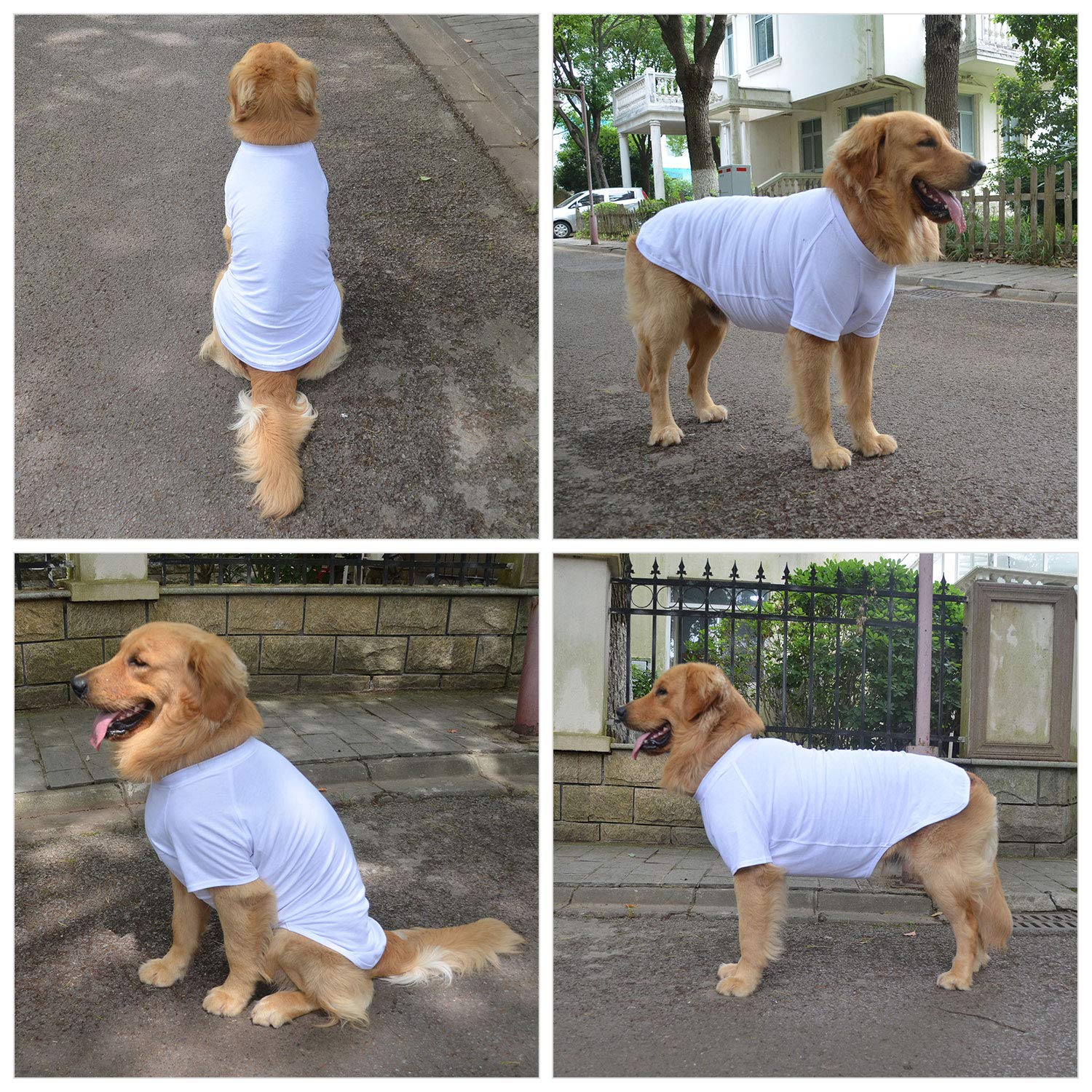 Lovelonglong 2019 Pet Clothing Dog Costumes Basic Blank T-Shirt Tee Shirts For Small Dogs White M