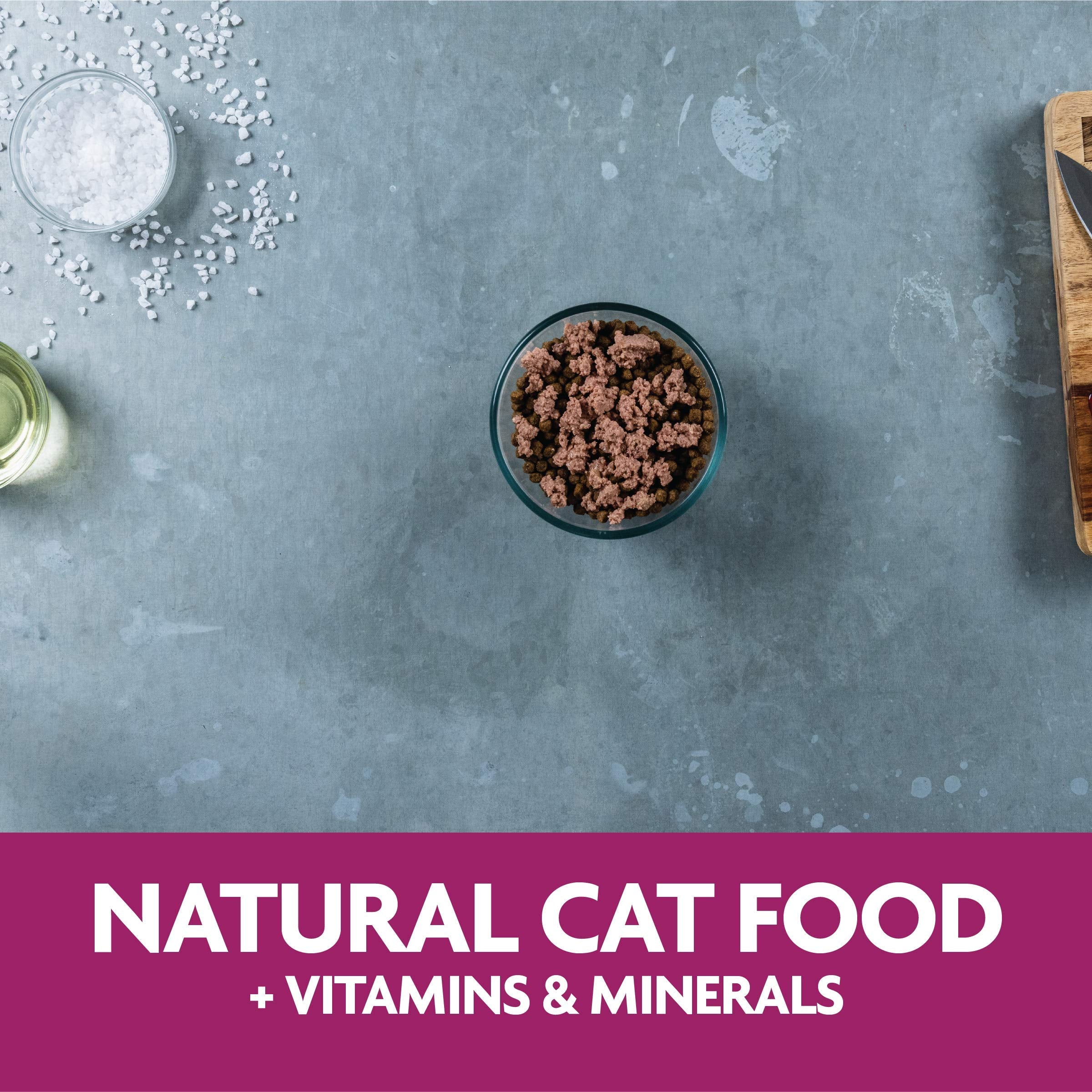 Evolve Classic Crafted Meals Liver Recipe Cat Food (Pack of 15)