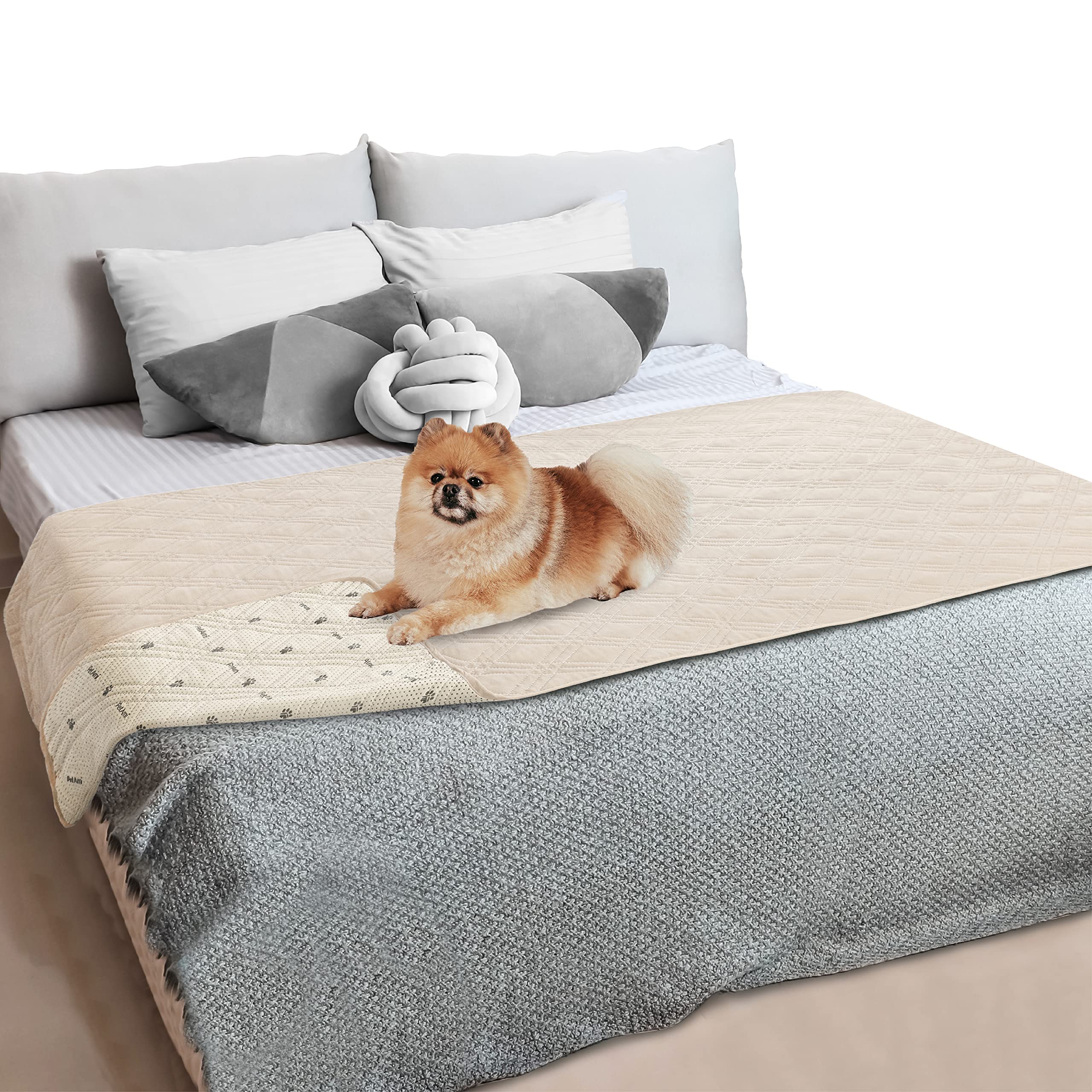 Petami Waterproof Dog Blanket Dog Bed Couch Cover Pet Blanket For Couch Sofa | Furniture Protector For Dogs Cat Reversible Pet P