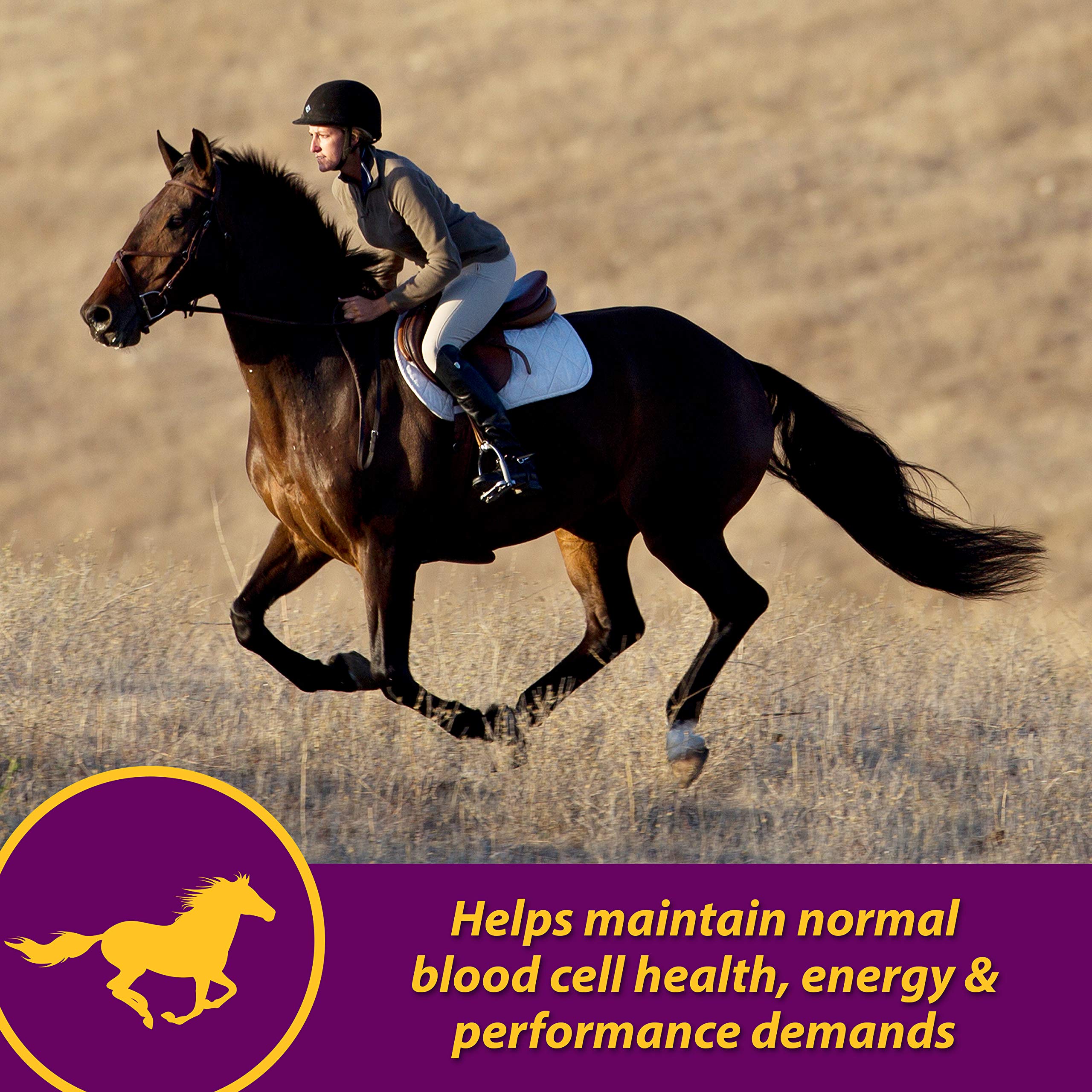 Farnam Horse Health Red Cell, Liquid Vitamin-Iron-Mineral Supplement for Horses, Helps Fill Important Nutritional Gaps in Horse
