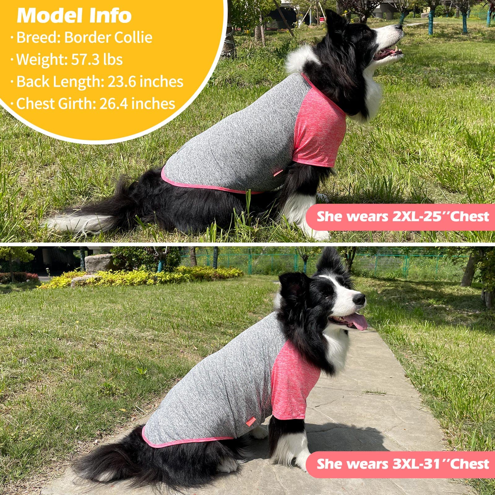Kyeese 2 Pack Dog Shirts Quick Dry Breathable Lightweight Stretchy Dog T-Shirt With Reflective Label Raglan Sleeve Pet Clothes F