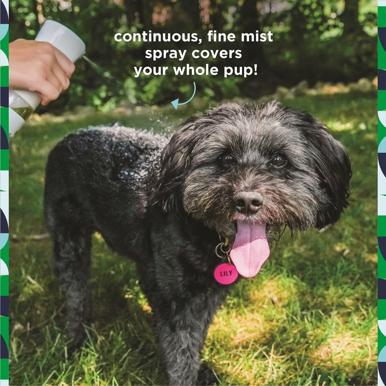 Pet Life Unlimited Natural Flea and Tick 3-Step Kit - Flea and Tick Spray for Dogs, Flea Spray for Home, and Flea and Tick Shamp