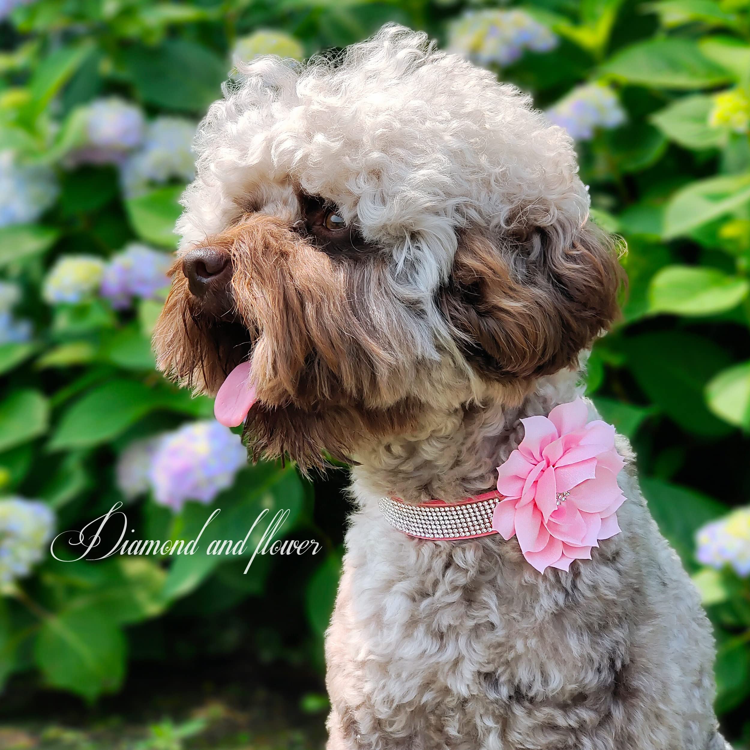 Pet Artist Cute Girl Rhinestone Suede Dog Collars For Small Dogs Cats,Soft Flower Dog Collar,Bling Dog Collars For Small Puppy Dogs Purple Collar, Xs:Neck 7.5-10'(19-25Cm)