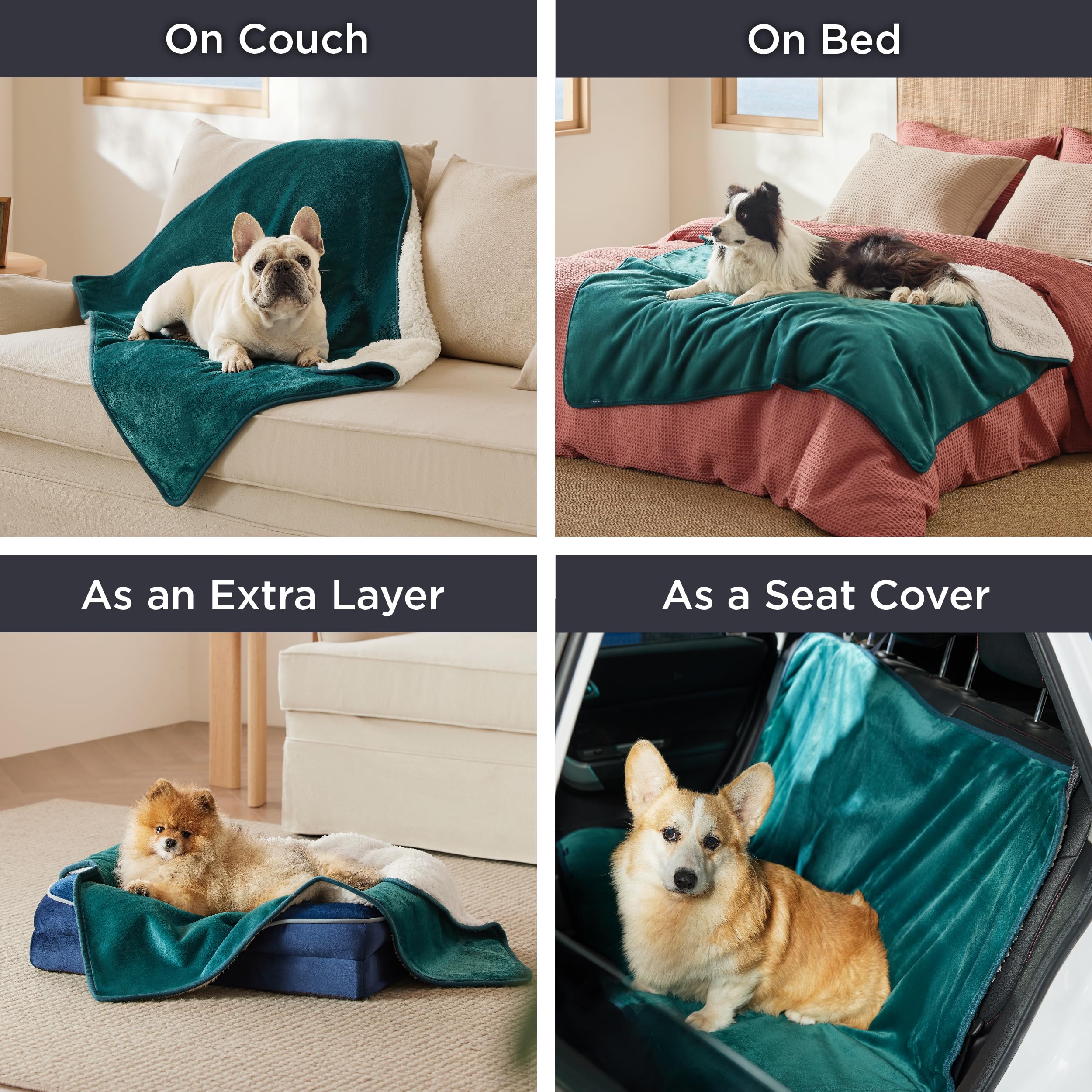 Bedsure Cat Blanket For Indoor Cats - Waterproof Calming Cat Blankets For Couch Protection, Sherpa Fleece Pet Blanket, Soft Plush Reversible Throw Furniture Protector, 50'X40', Green