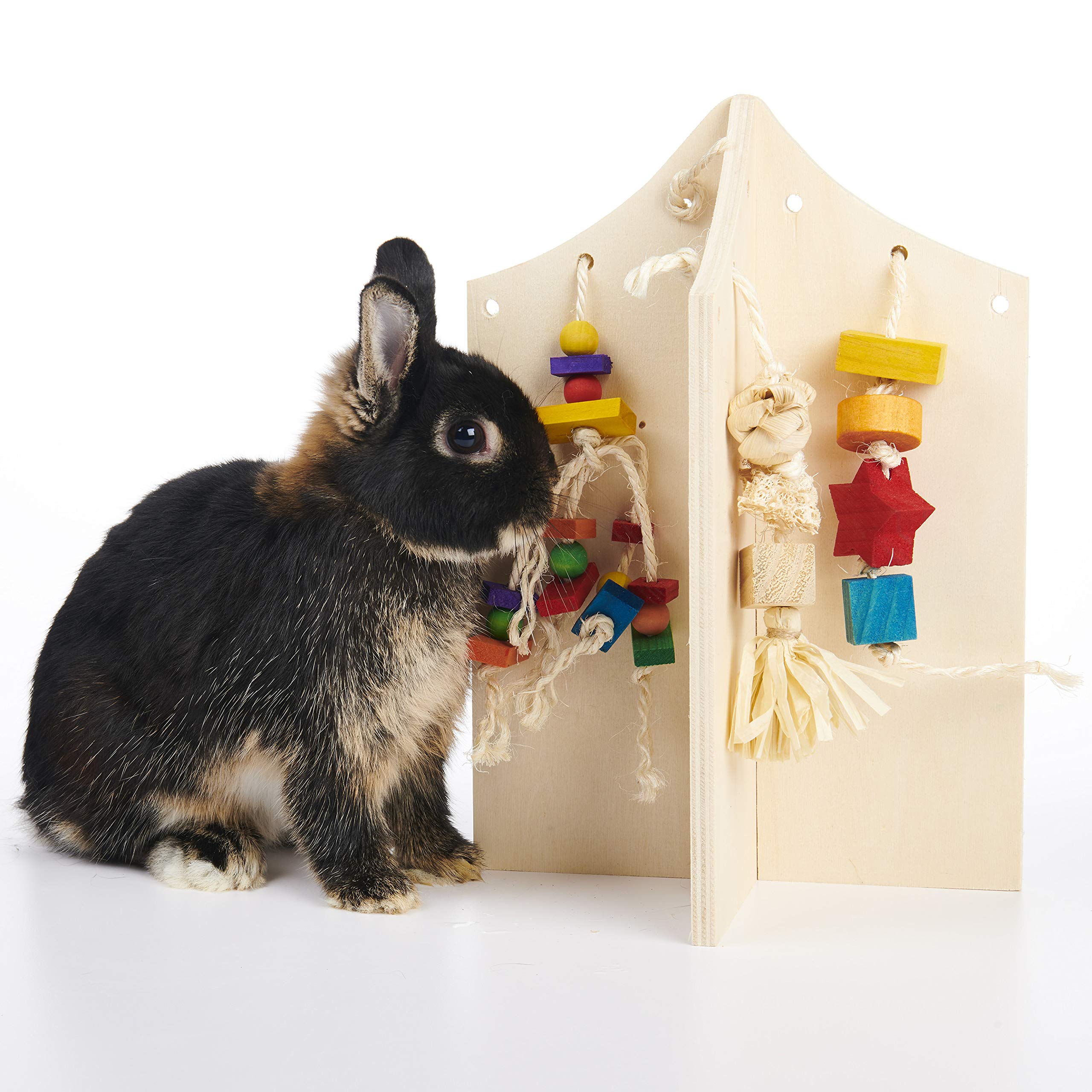 Oxbow Enriched Life Play Center, Large