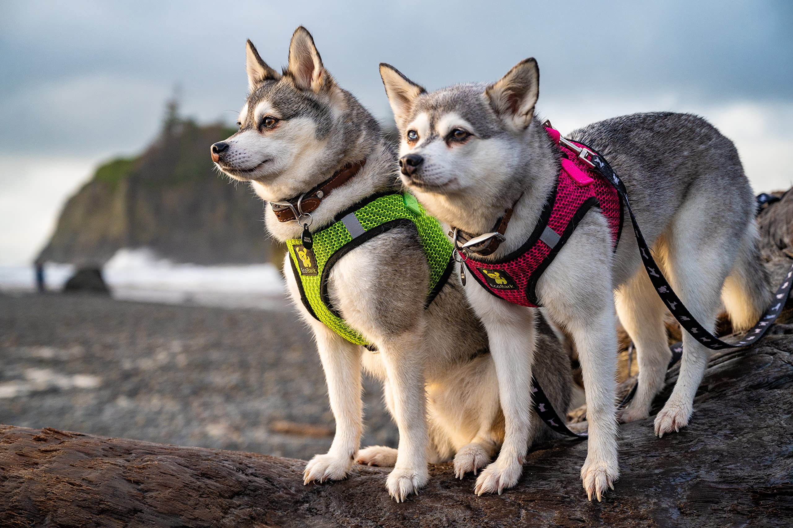 Ecobark Step In Dog Harness - Eco-Friendly Dog Harnesses For Small And Medium Breed Dogs - Reflective And Adjustable Body Halter Vest - Soft Mesh Toy Breed Harness (Fuchsia Pink, Large)