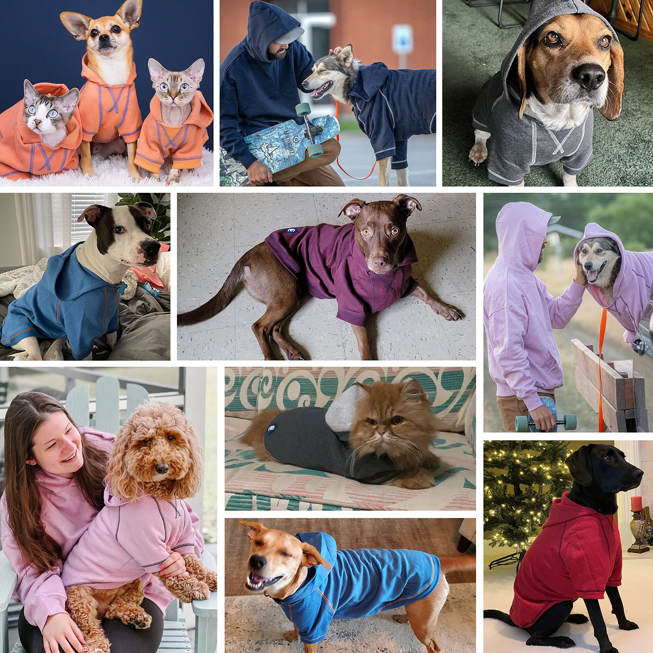 Blueberry Pet Essentials Soft & Comfy Better Basic Cotton Blend Dog Hoodie Sweatshirt In Red, Back Length 24', Pack Of 1 Jacket For Dogs
