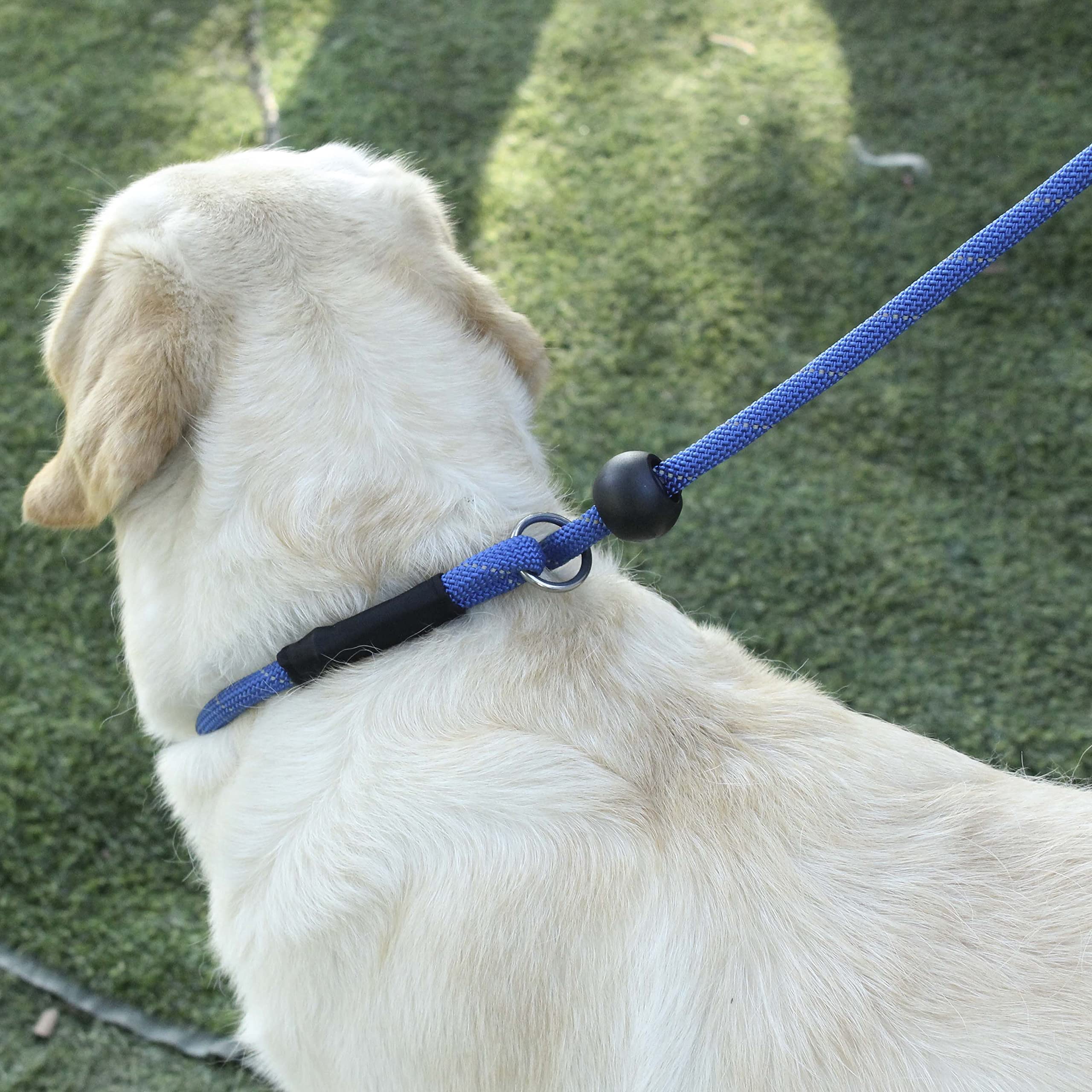 Hiado Slip Lead Dog Leash Reflective With Stopper Loop Rope Training No Pull For Small Medium Large Dogs 6Ft Blue