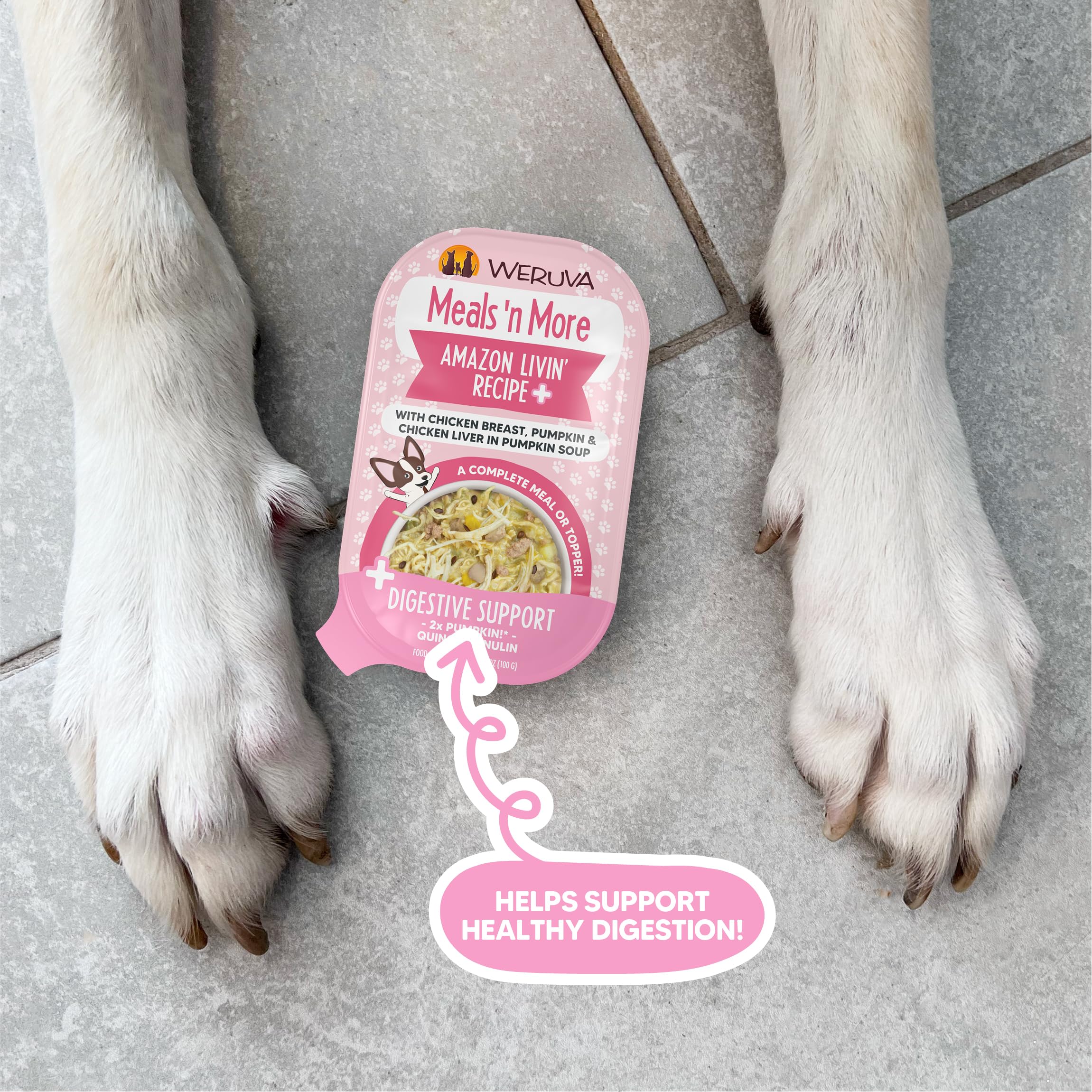 Weruva Meals n More Natural Wet Dog Food, Amazon Livin Plus Digestive Support, 3.5oz Cup (Pack of 12)