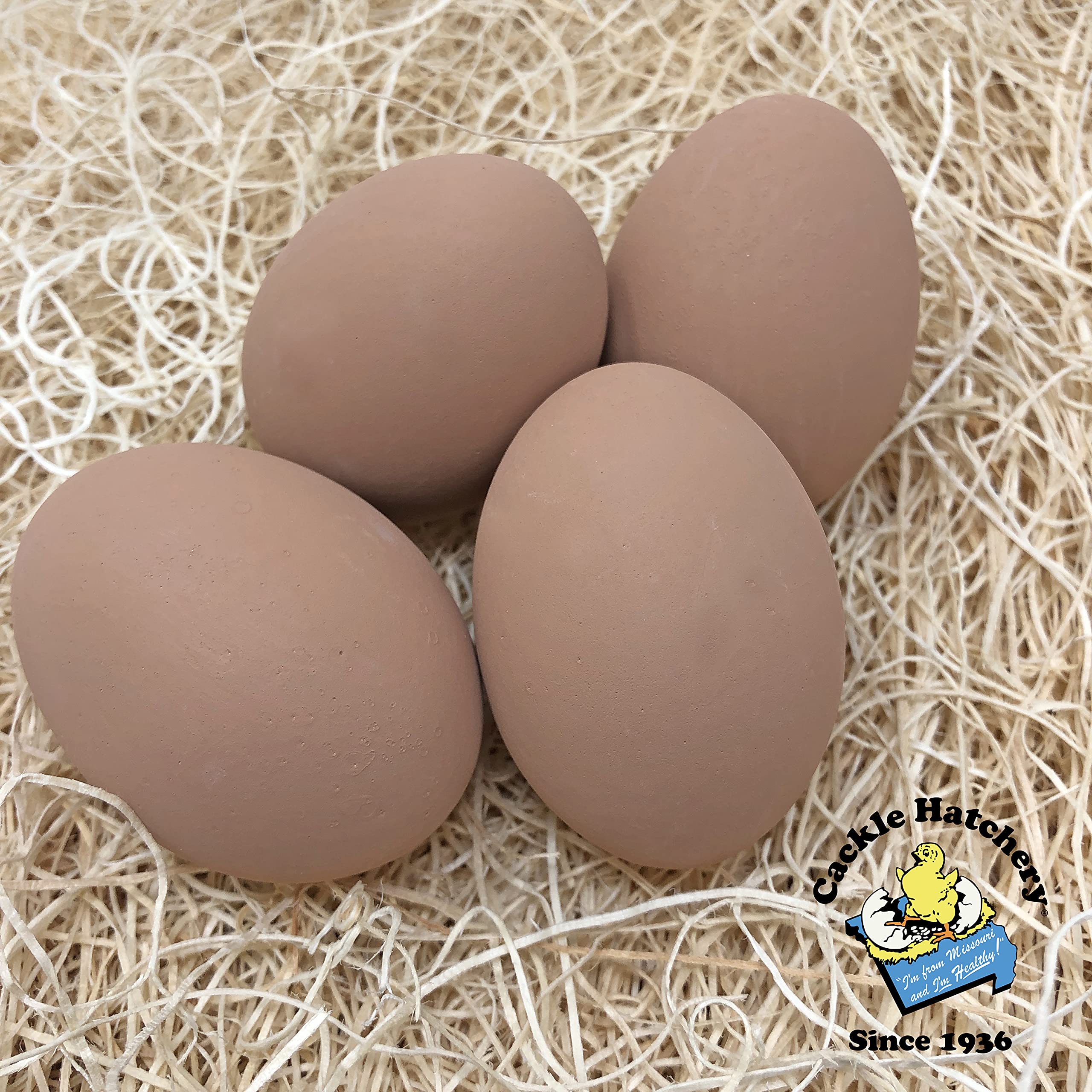 Cackle Hatchery Ceramic Nest Eggs (4Ct) (4 Brown)