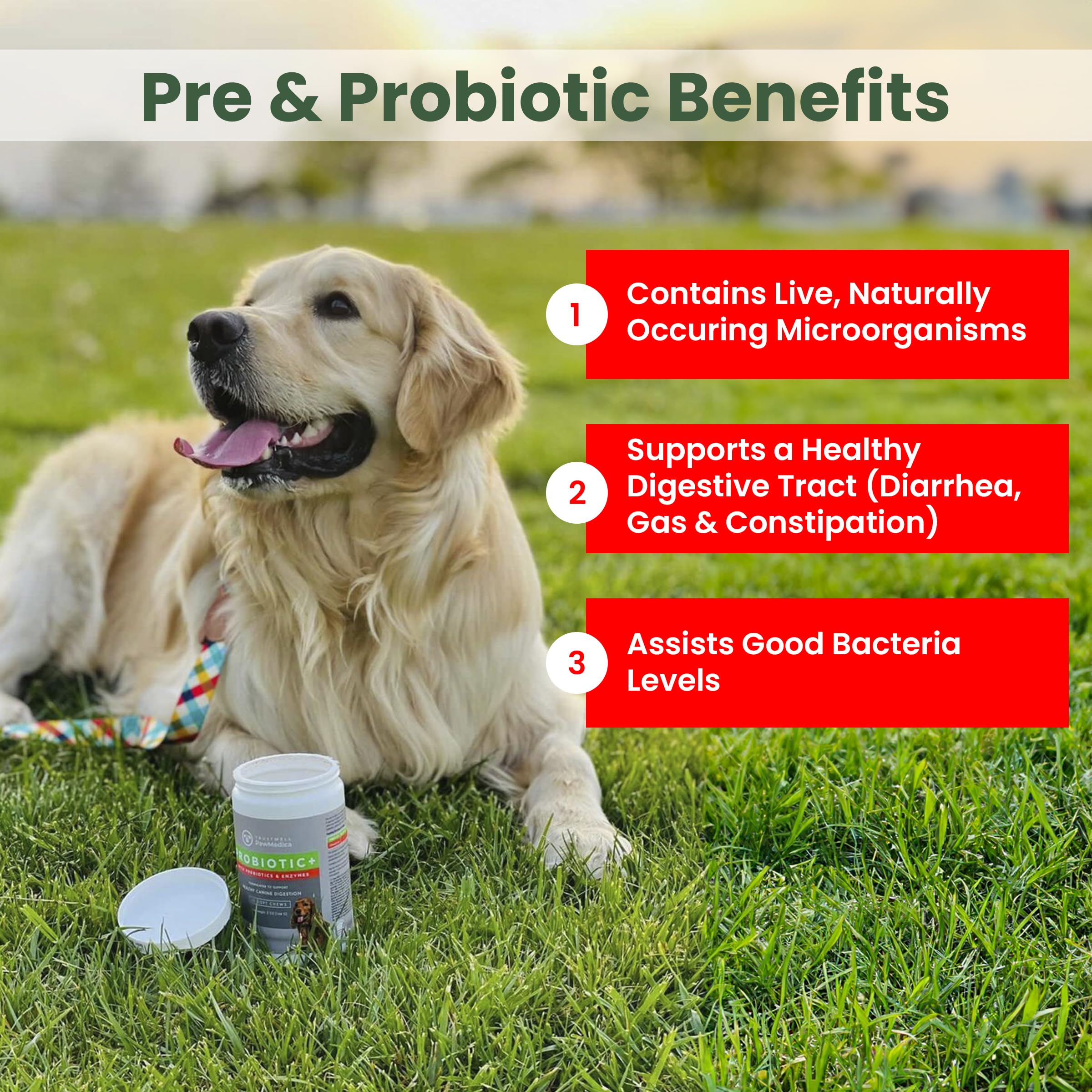 PawMedica Dog Probiotics and Digestive Enzymes, Probiotics for Dogs Made in USA, Pet Probiotic Chews for Dogs, Prebiotics & Prob