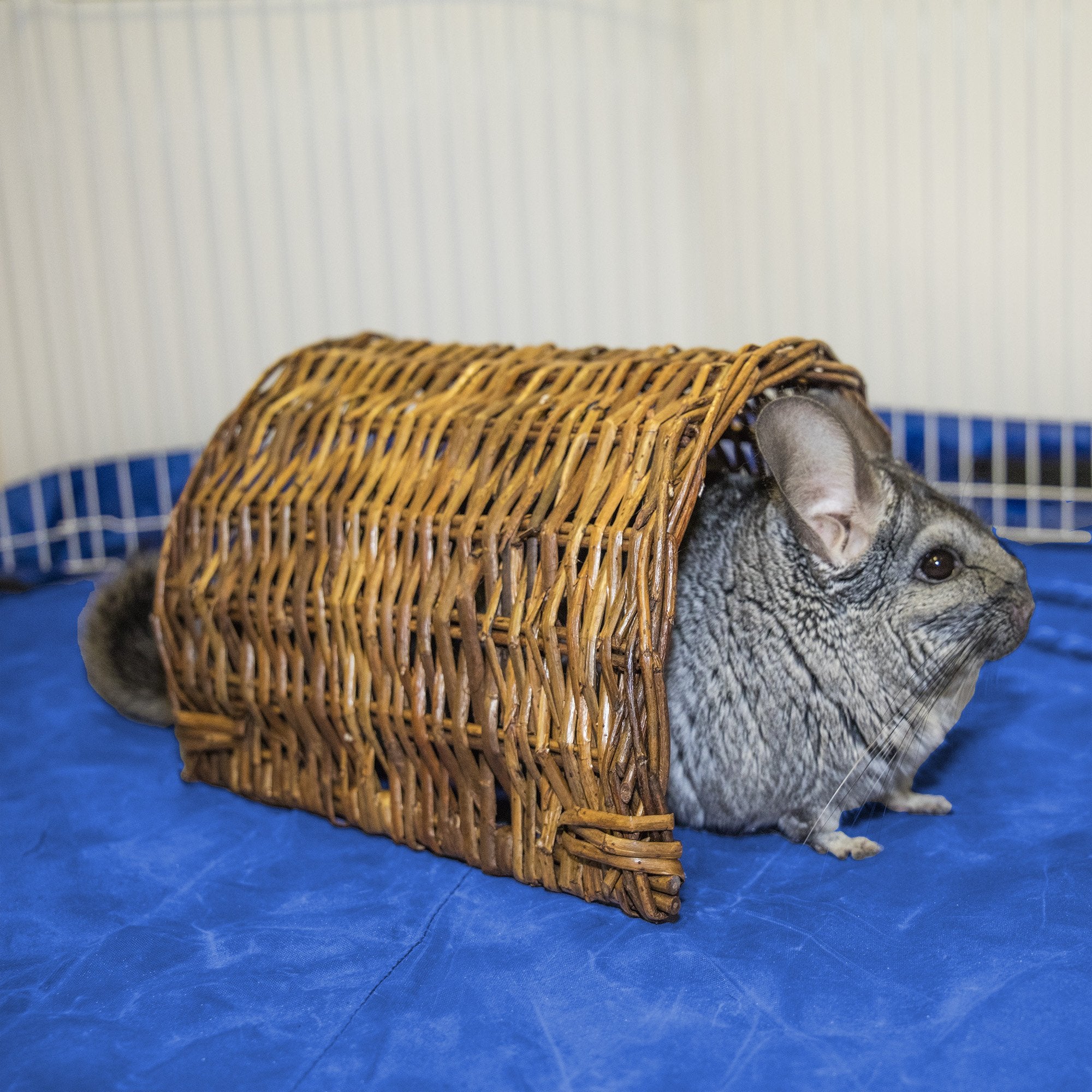 Ware Manufacturing Hand Woven Willow Twig Tunnel Small Pet Hideout, Large