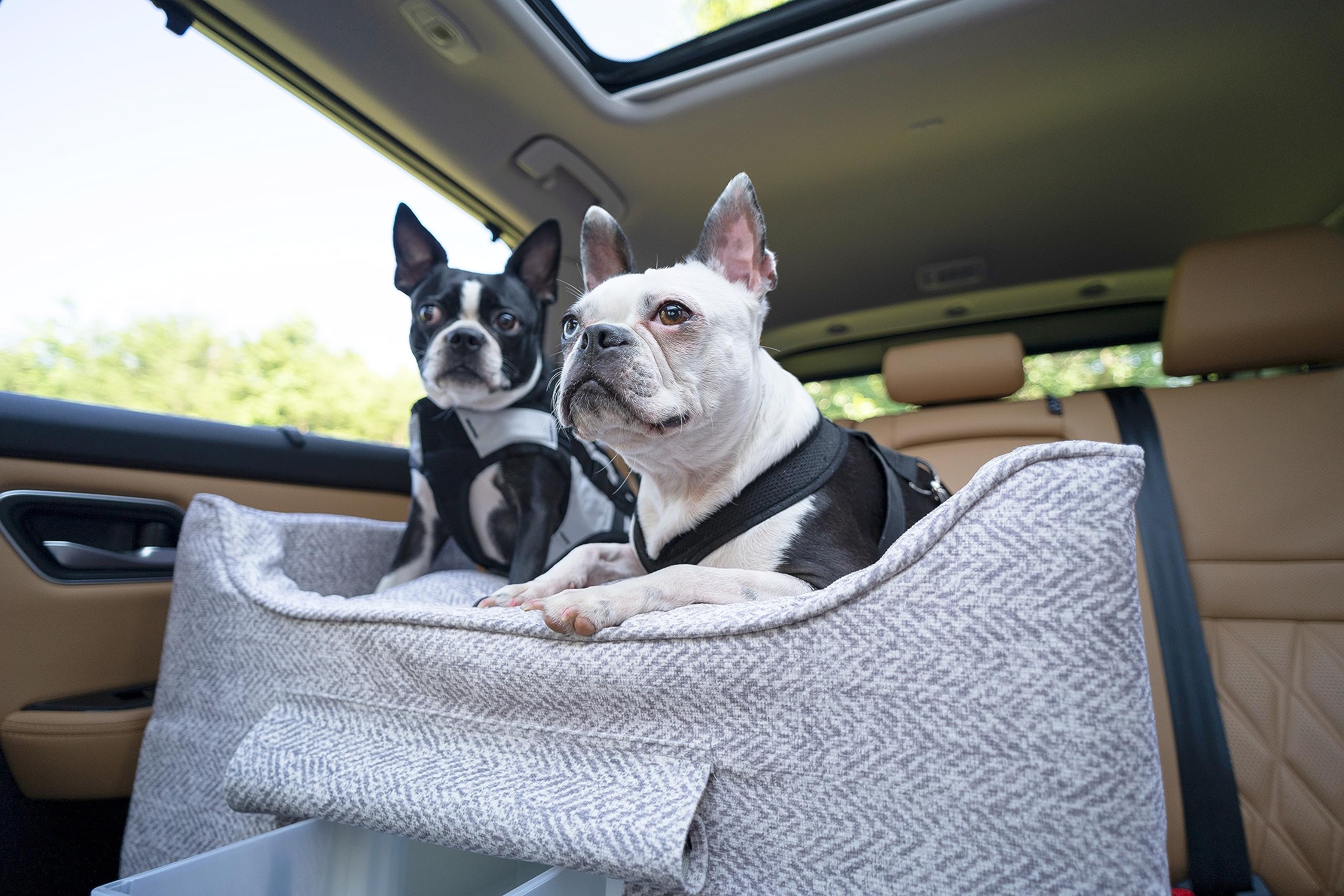 Snoozer Lookout II Car Seat with Storage Tray - Dog Car Seats for Medium Dogs, Booster Bed for Medium Sized Pets Up to 34 Lbs, E