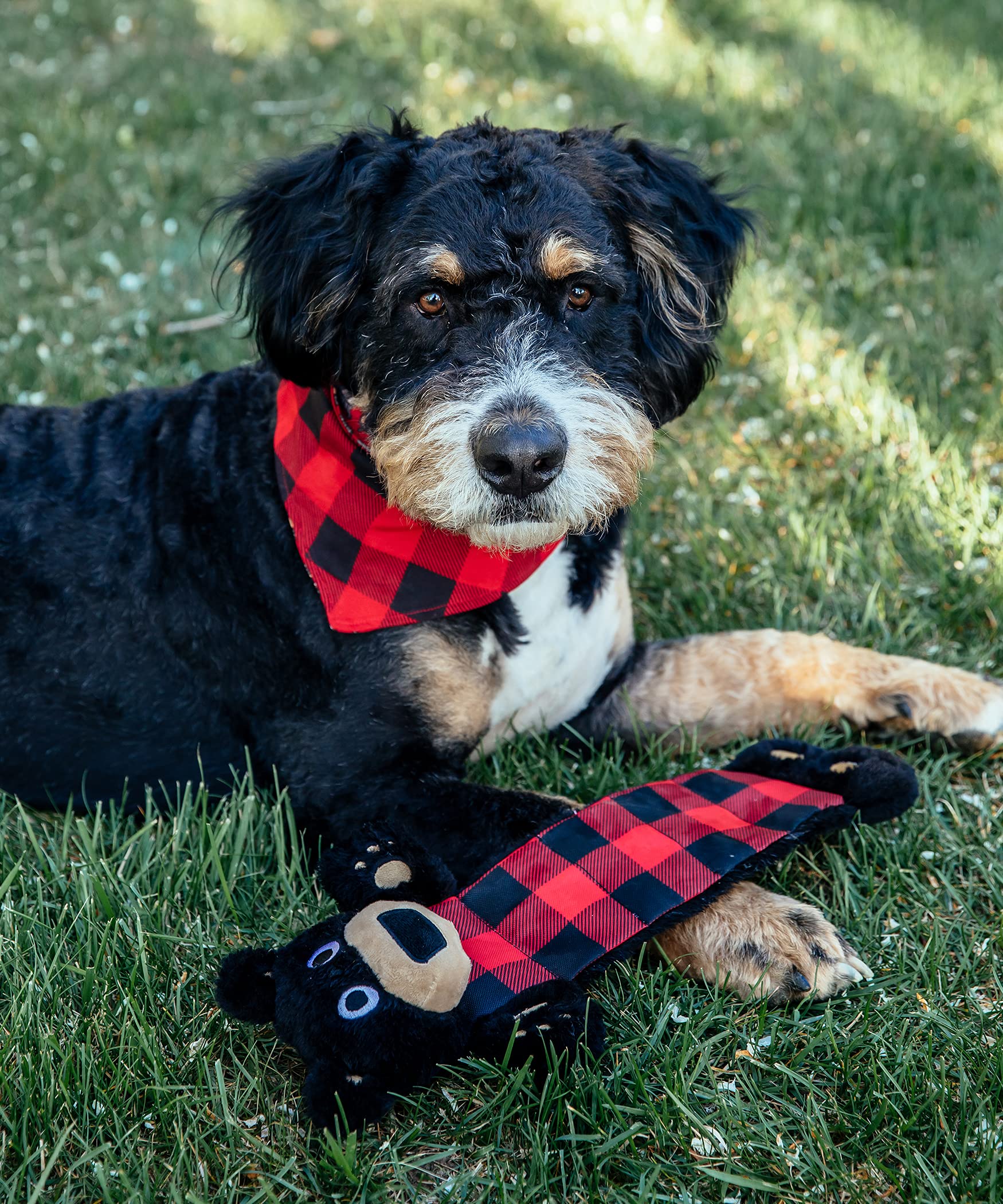 Lazy One Bear Squeaky Dog Toy, Soft Crinkle Toy For Dogs, Durable Fabric For Small, Medium, And Large Breeds