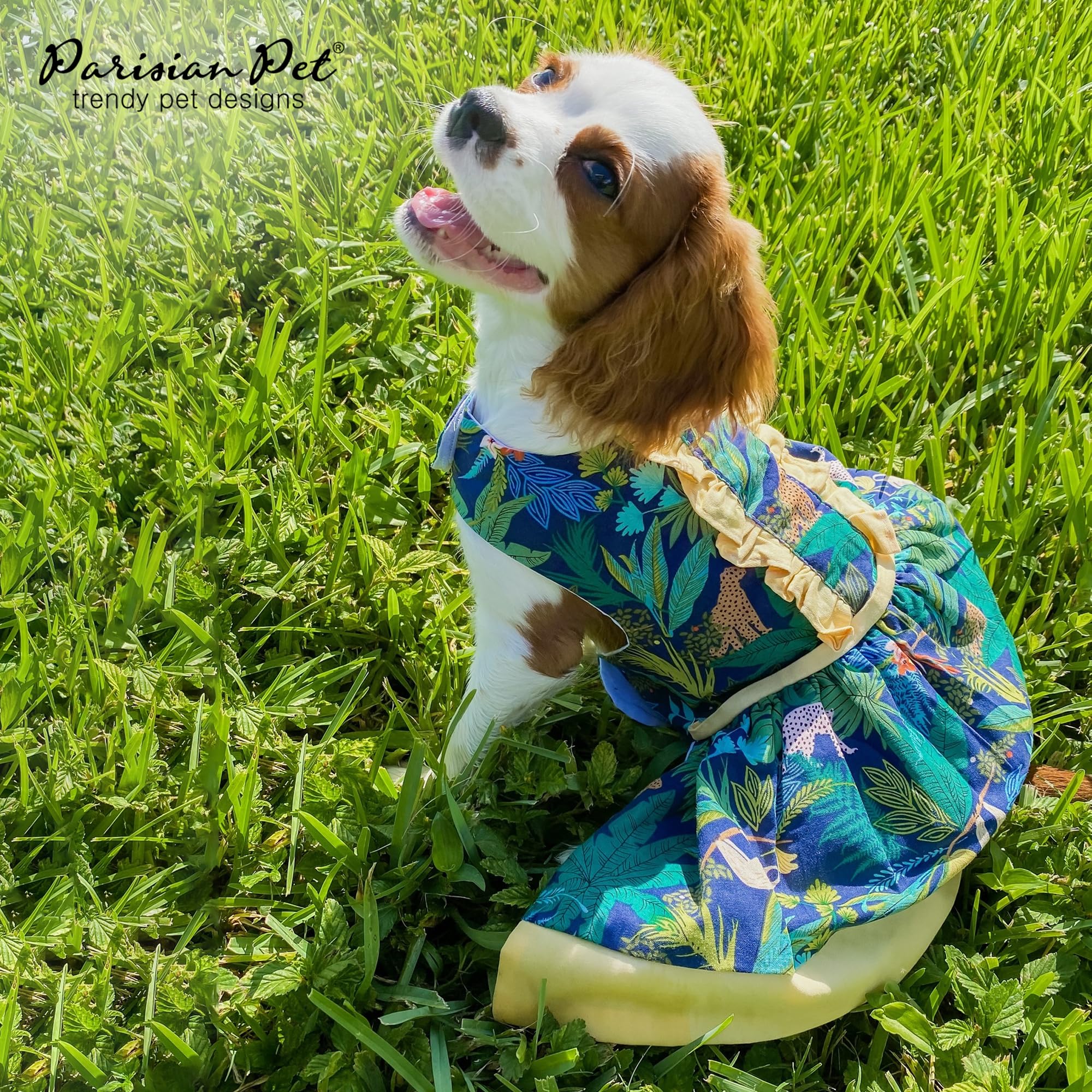 Parisian Pet Amazonia Leafy Dog Summer Dress By Magic Strap Closure For Large Dogs Girl