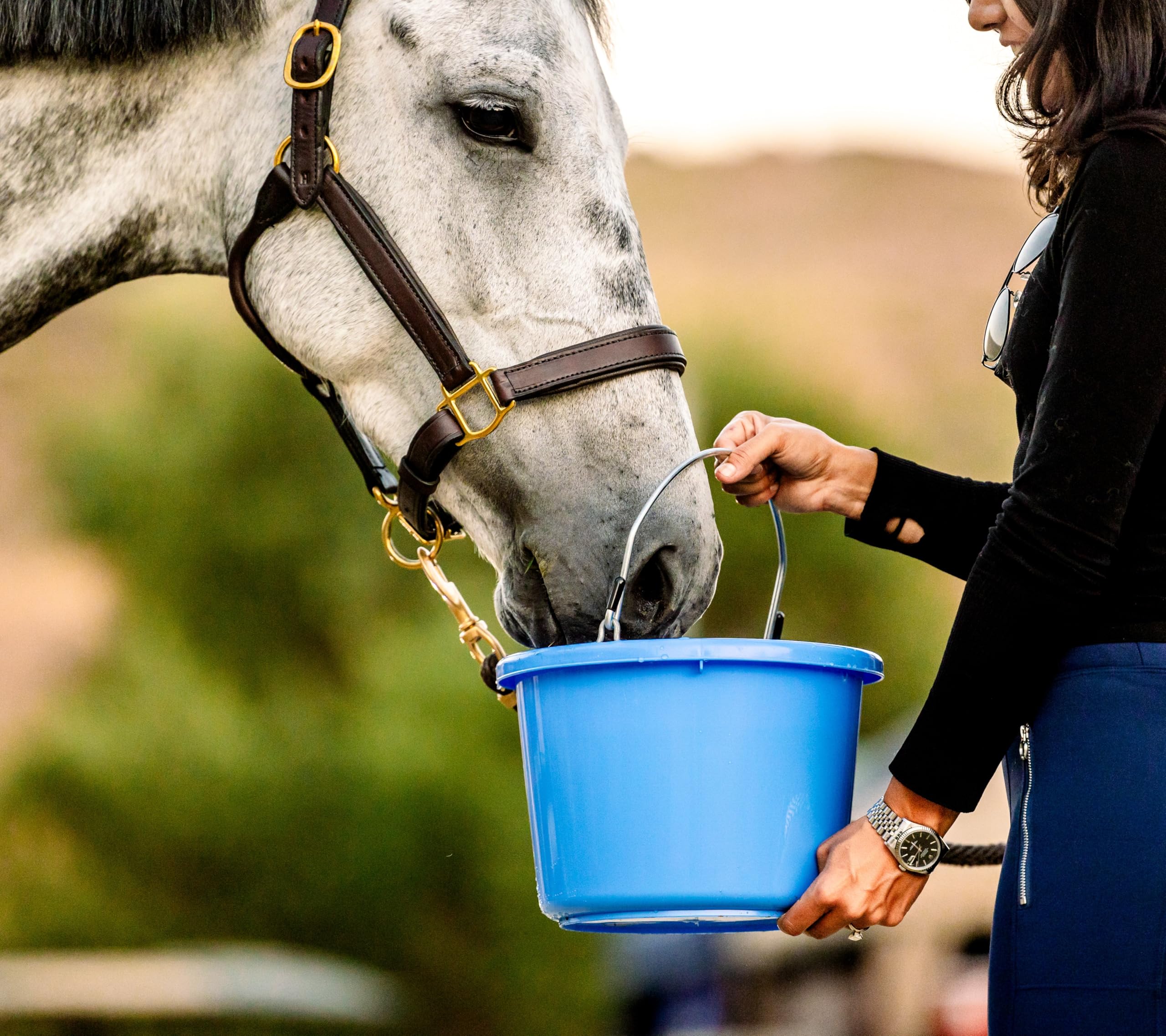 Horse Quenchers Peppermint Flavored Horse Hydration Supplement, Thirst Quencher for Horses, 13 lbs Pail, All-Natural Grains for