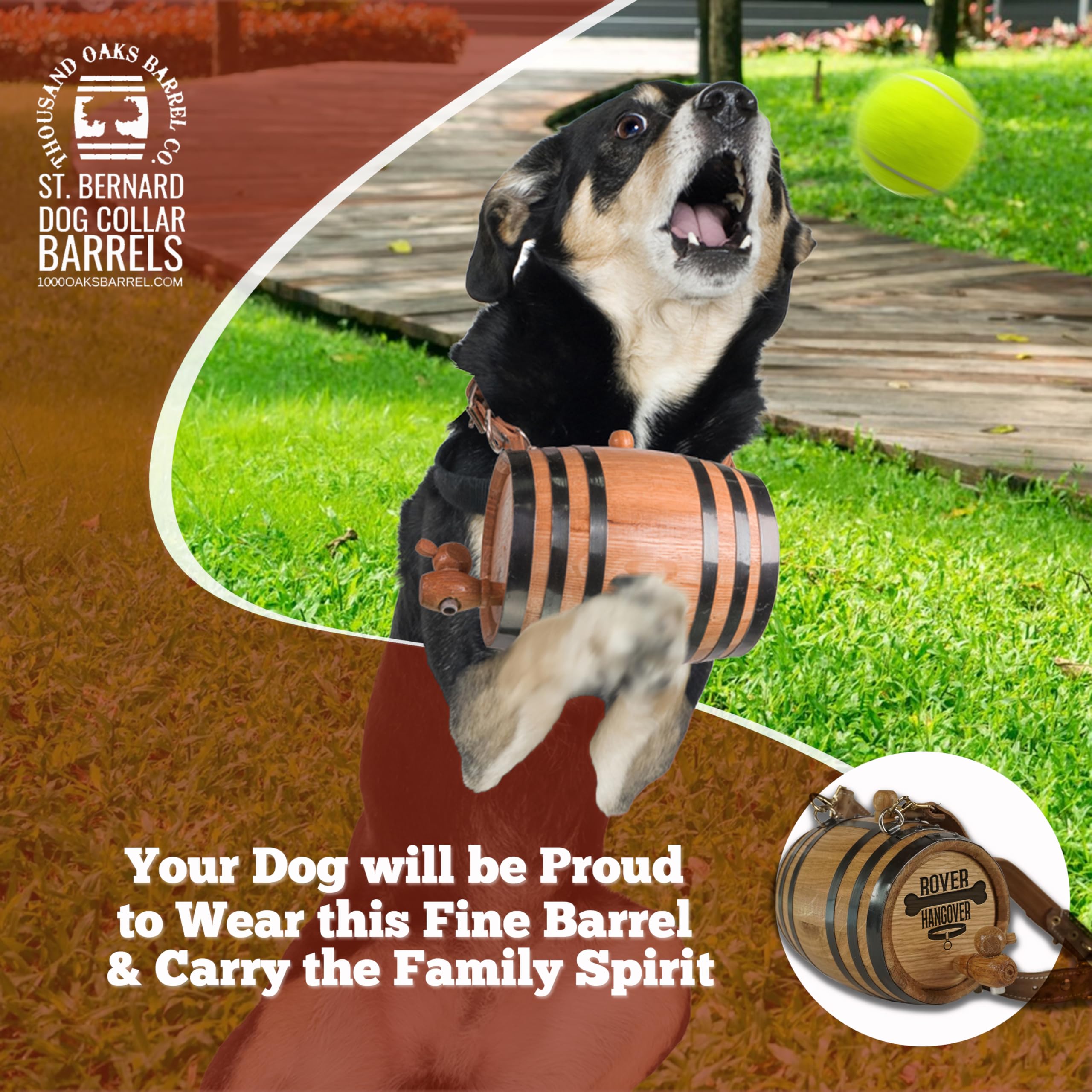 St. Bernard Dog Collar Rescue Barrel, With Engraved Design 'Rover Hangover' (1/2 Liter Size Oak Mini Keg With Black Hoops For Sa