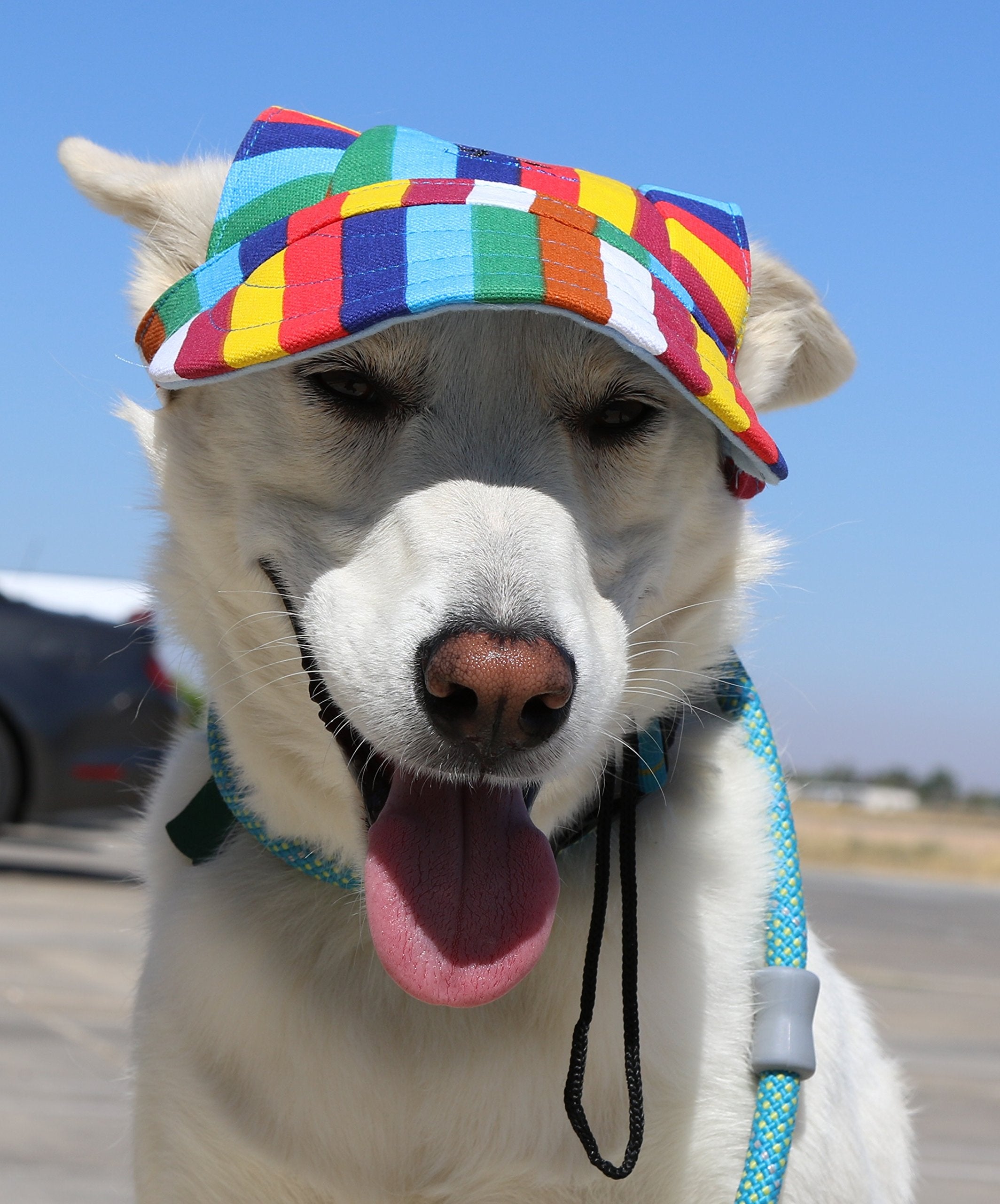 Lovewally Dog Outdoor Pet Hat Adjustable And Colors (Small, Rainbow)