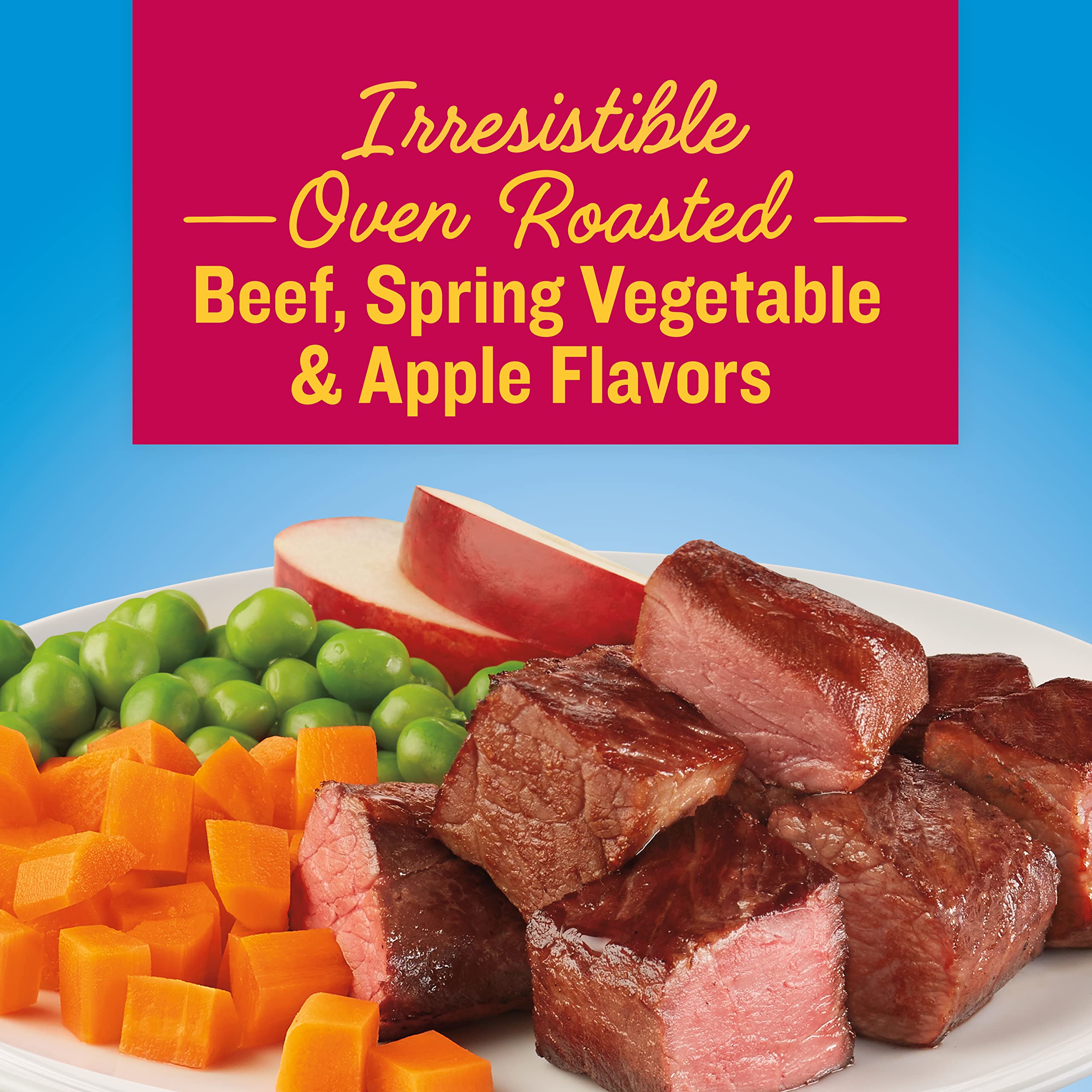Kibbles N Bits Bistro Small Breed Mini Bits Oven Roasted Beef Flavor Dry Dog Food, 16lb Bag