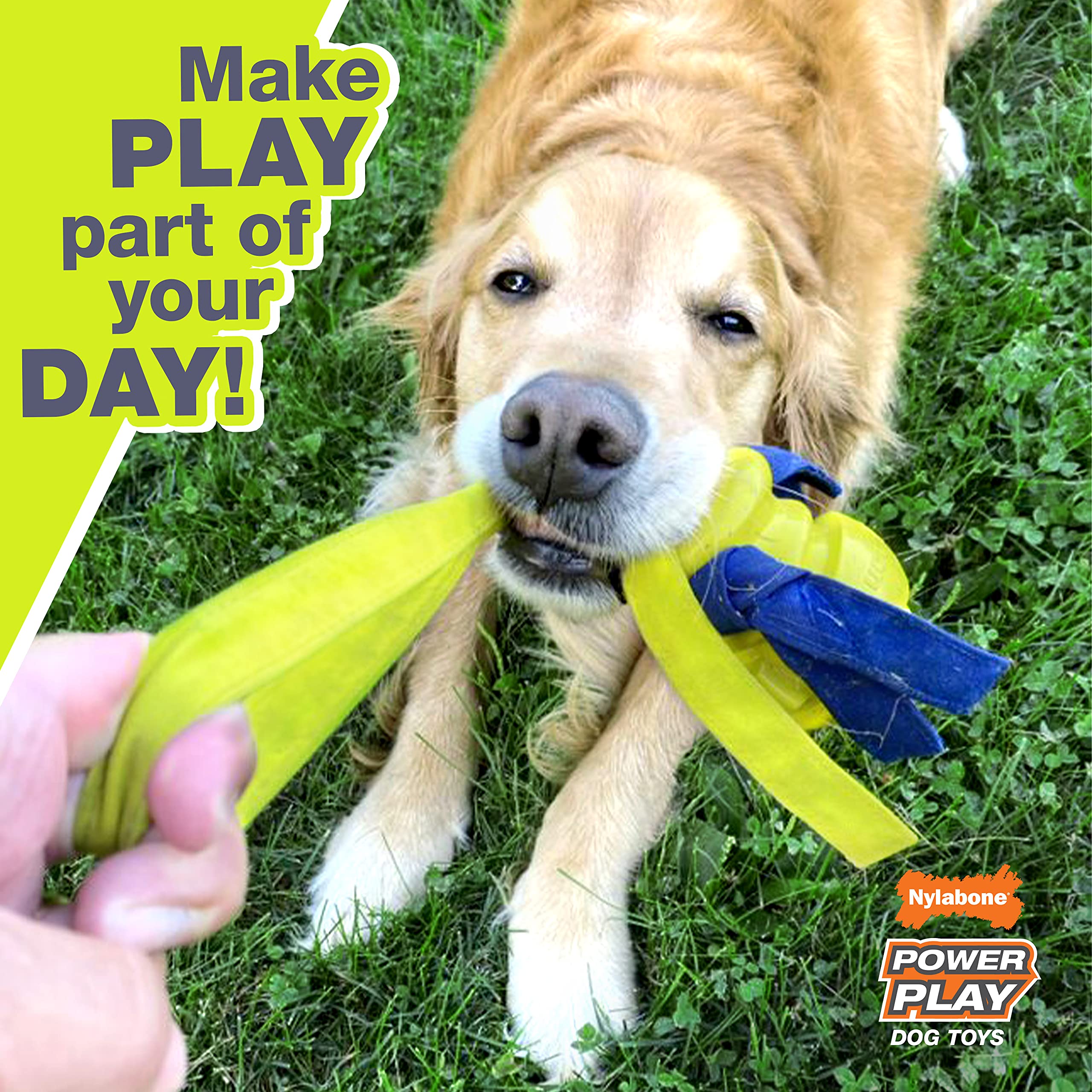 Nylabone Power Play Dog Fetch Toys Fling-A-Bounce Medium (1 Count)