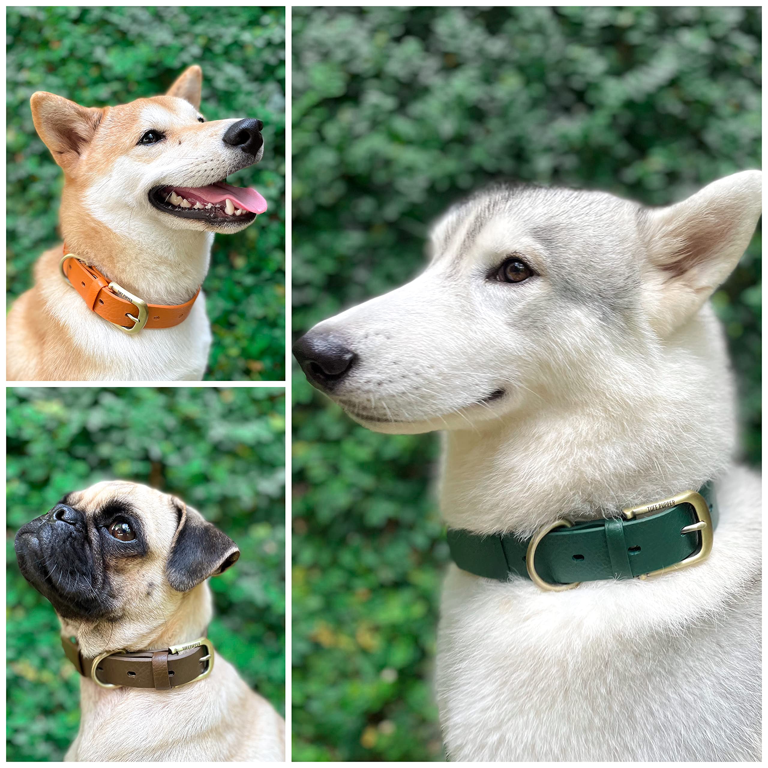 Tuff Pupper Classic Heavy Duty Dog Collar | 10X Stronger Than Leather | 100% Waterproof & Odor Proof Dog Collar | Tough Rust-Proof All Metal Hardware | Lifetime Replacement Guarantee