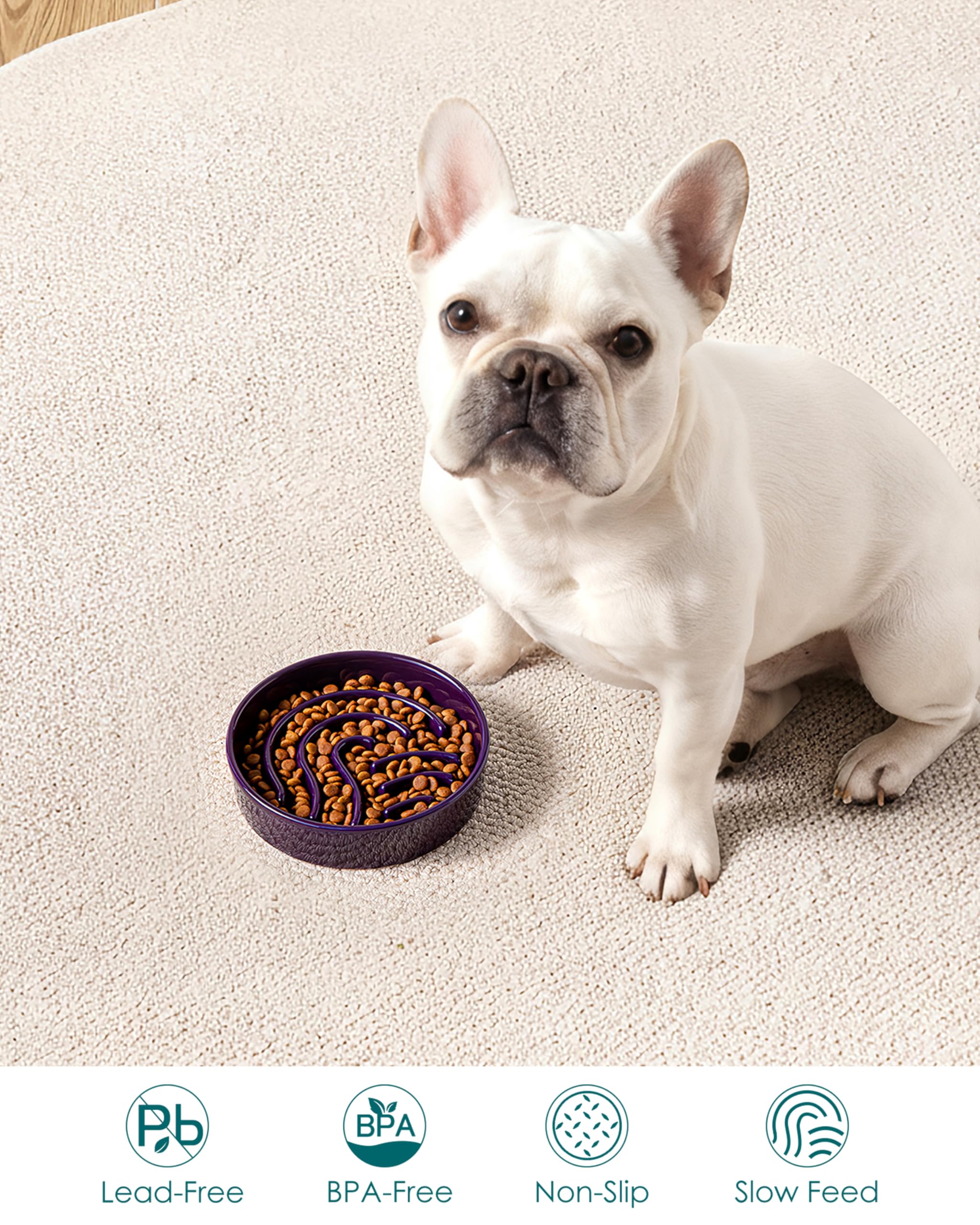 vancasso Slow Feeder Dog Bowl, 0.6 Cup Ceramic Slow Feeding Food Dish for Small Breed, Puzzle Dog Food Bowl for Fast Eater, Dark