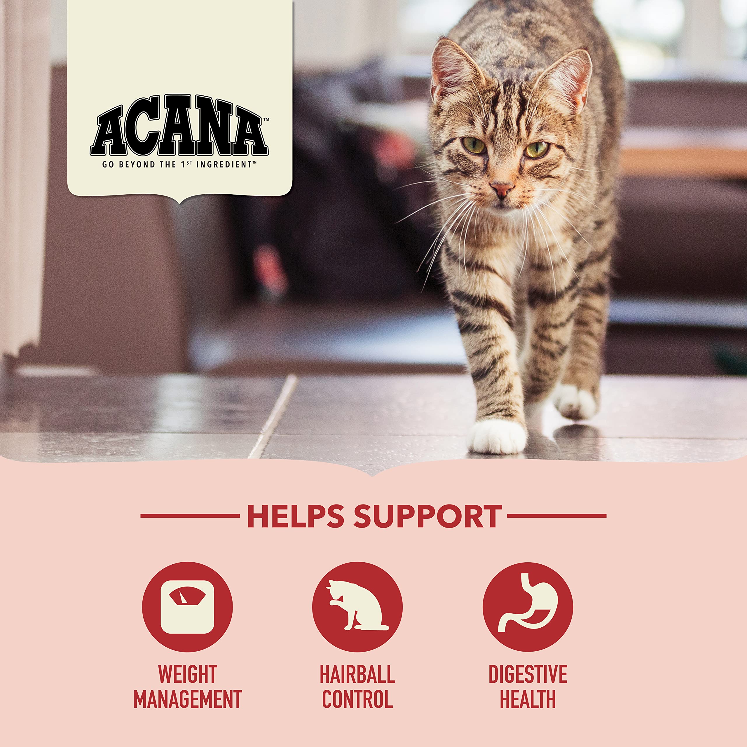 ACANA Indoor Entree Dry Cat Food, Free Run Chicken and Turkey Recipe, 4 lb